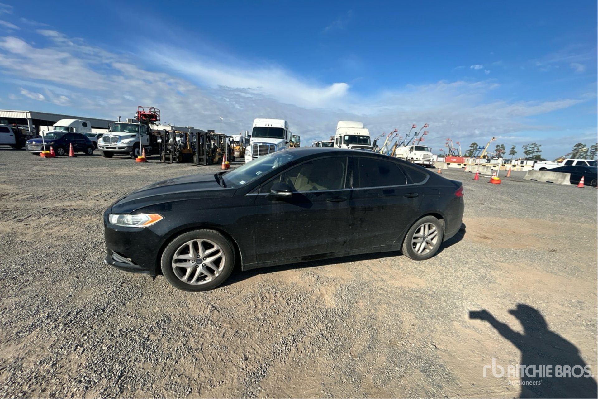 General Appearance with Spin