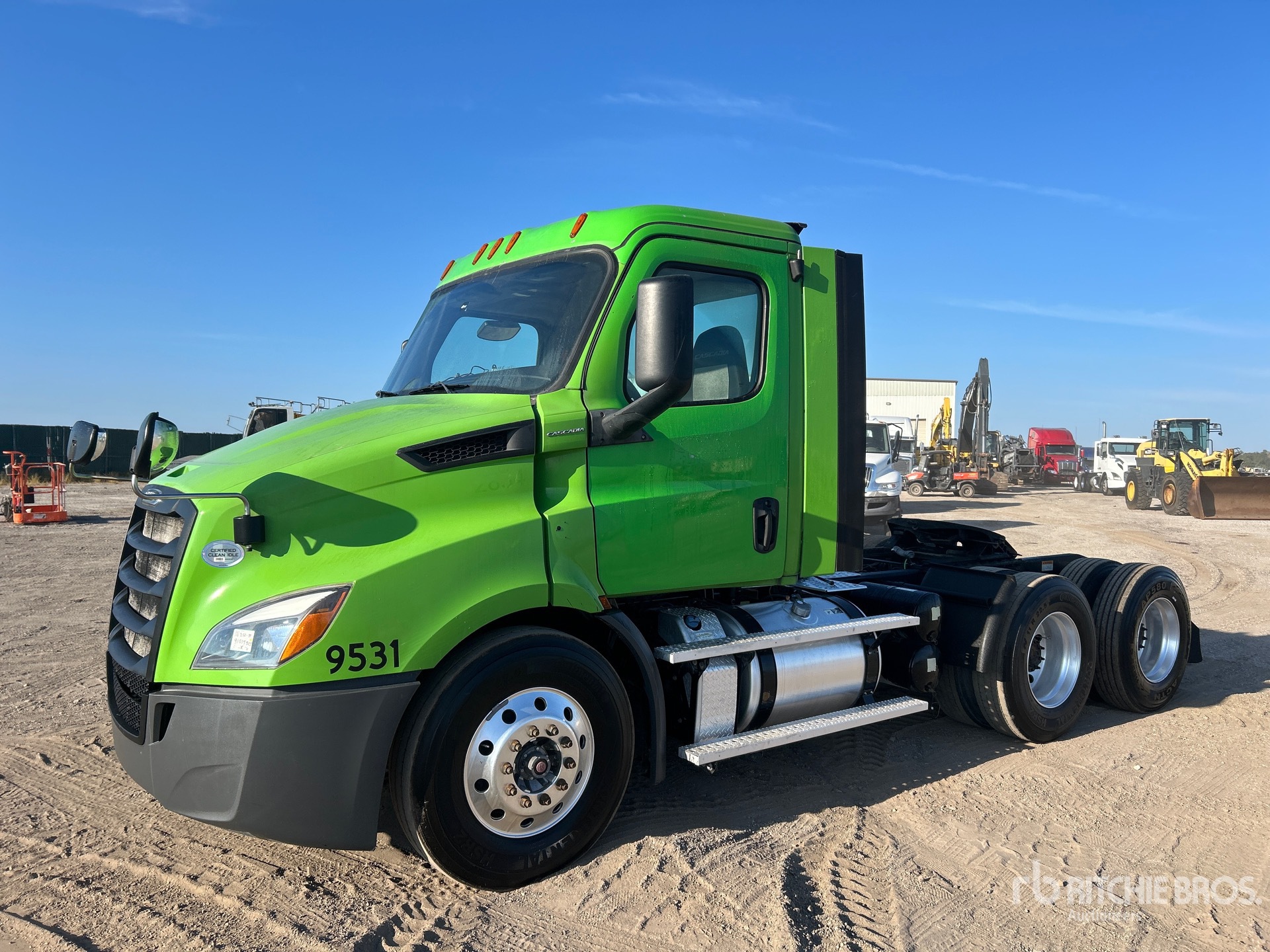 General Appearance with Spin