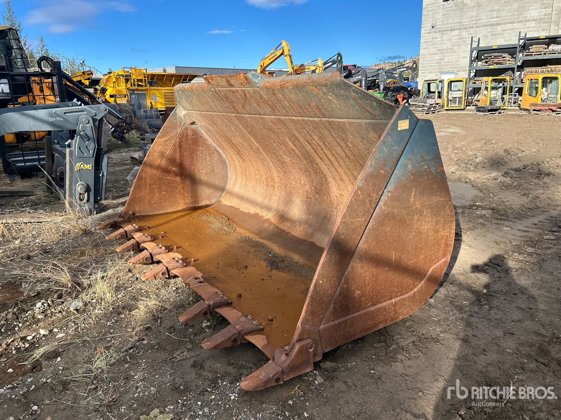 General Appearance with Bild, Ecke vorne links