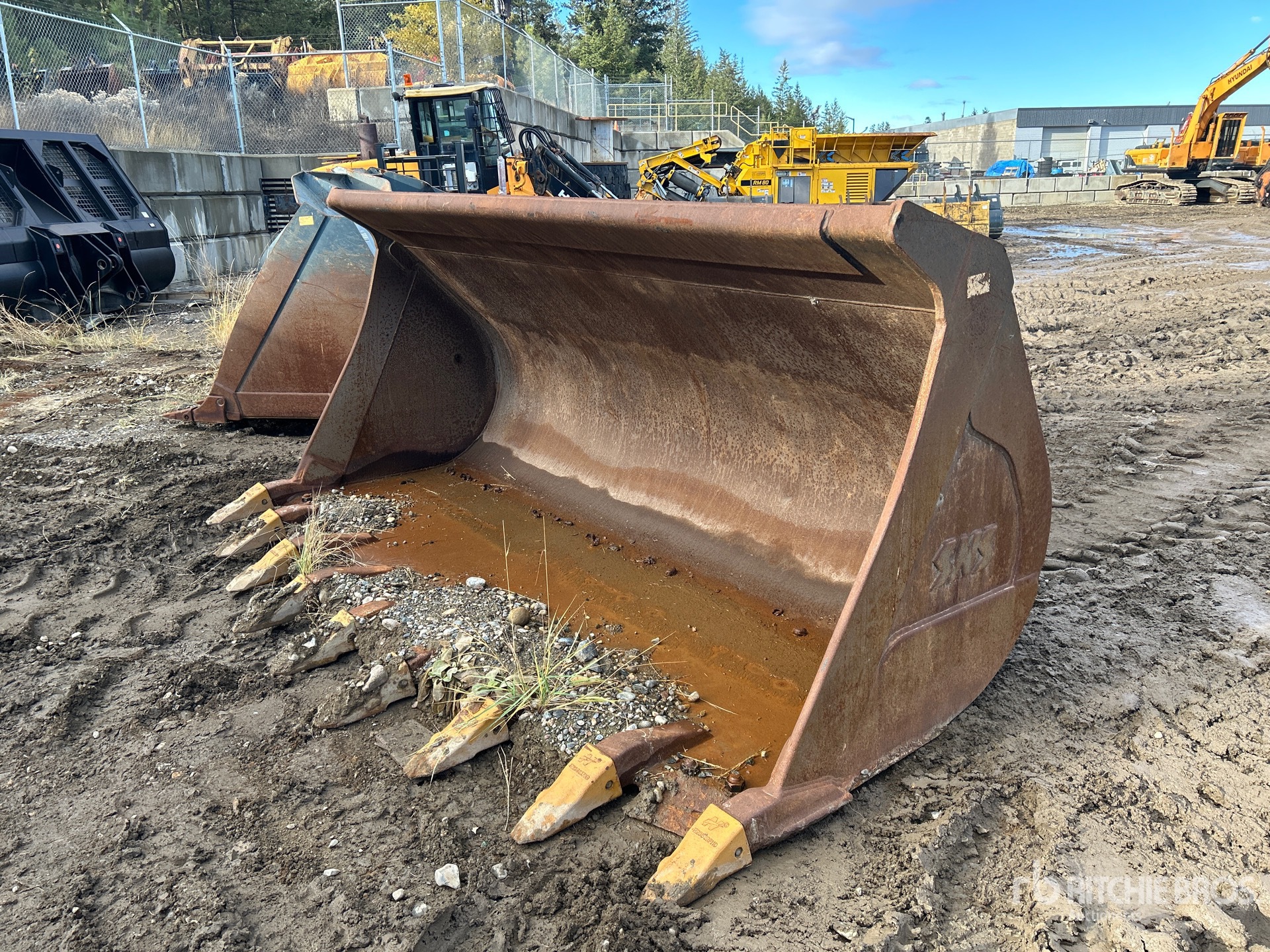 General Appearance with Bild, Ecke vorne links