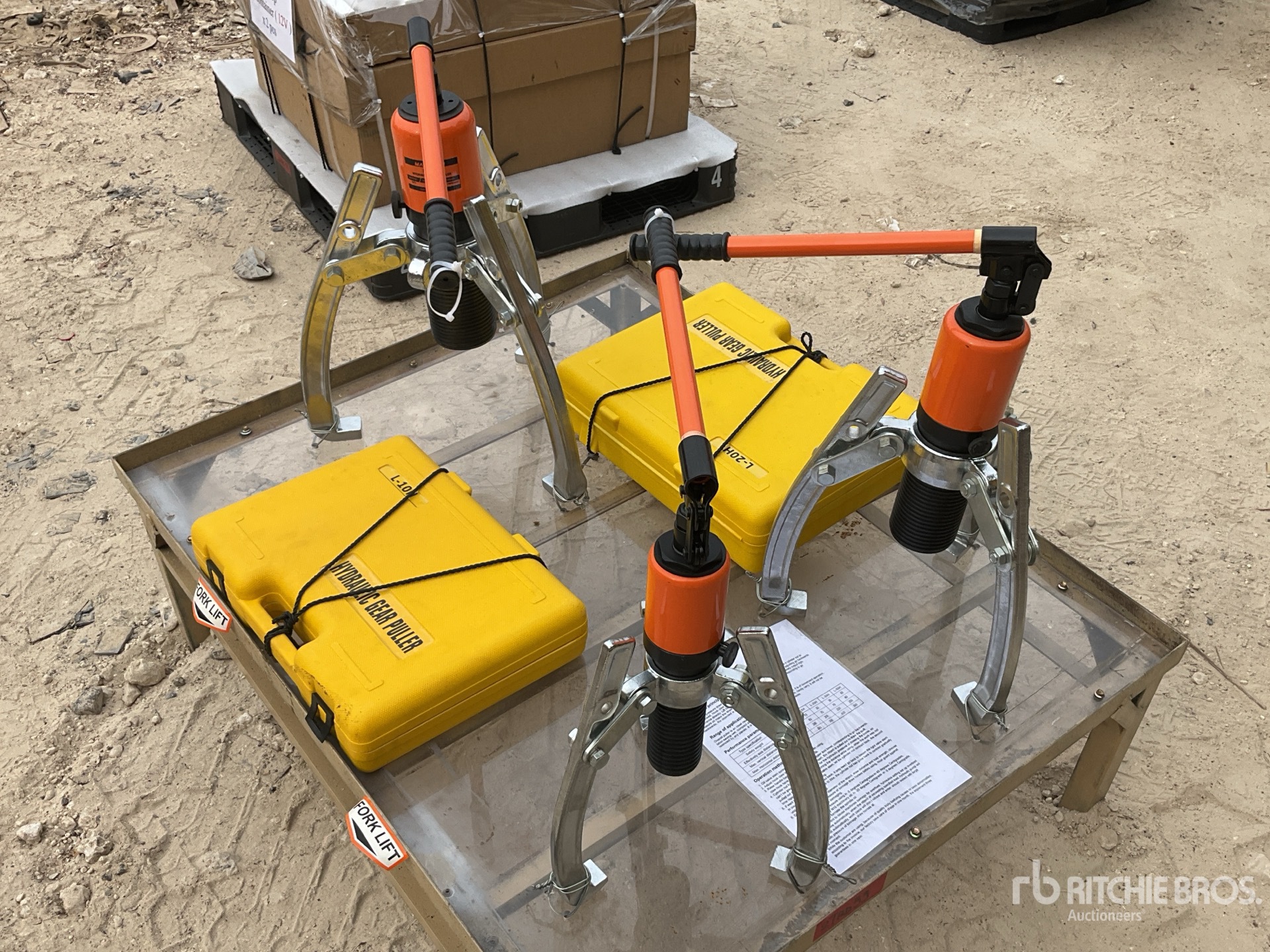 General Appearance with Image, coin arrière droit