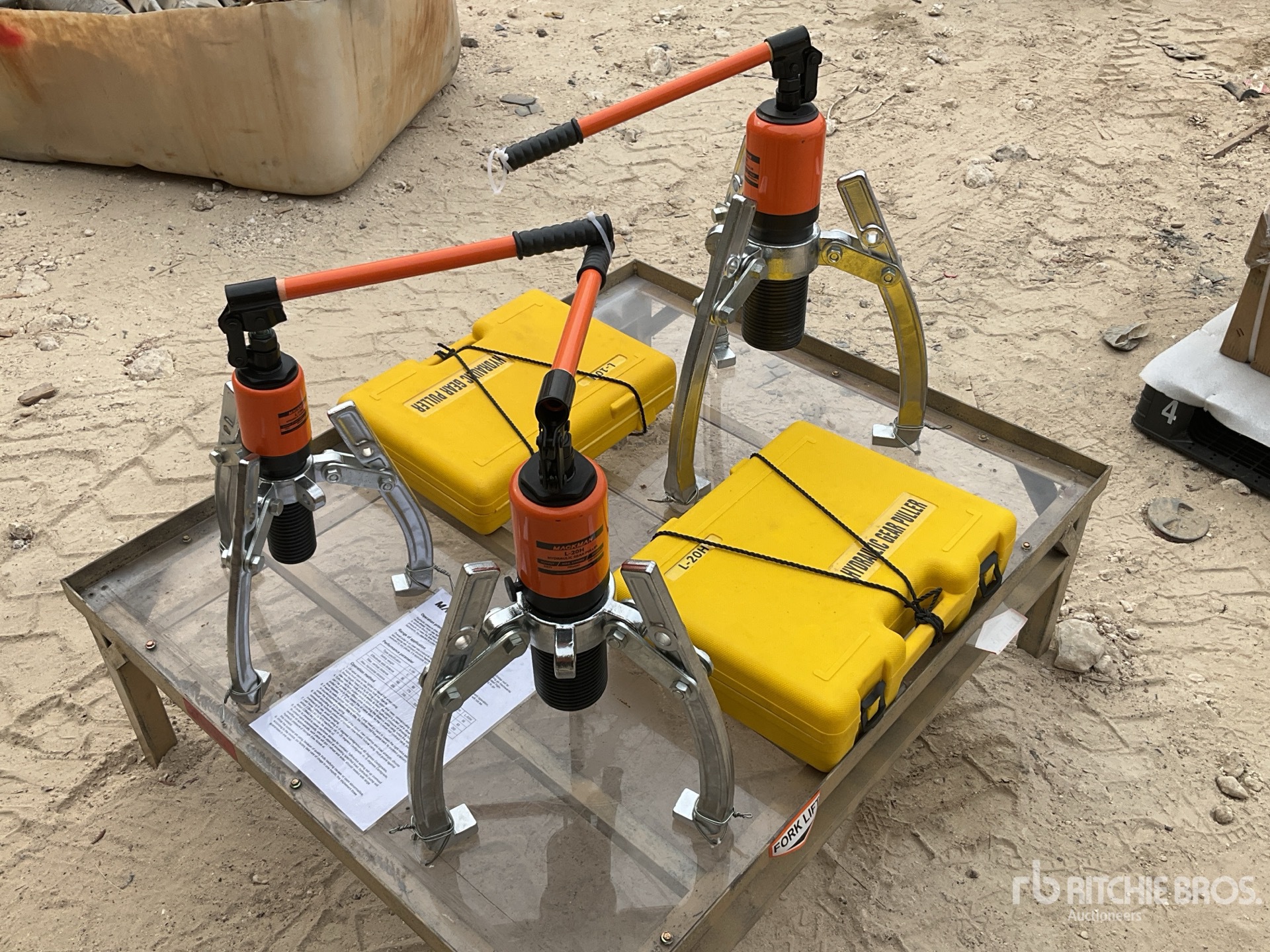 General Appearance with Image, coin avant droit