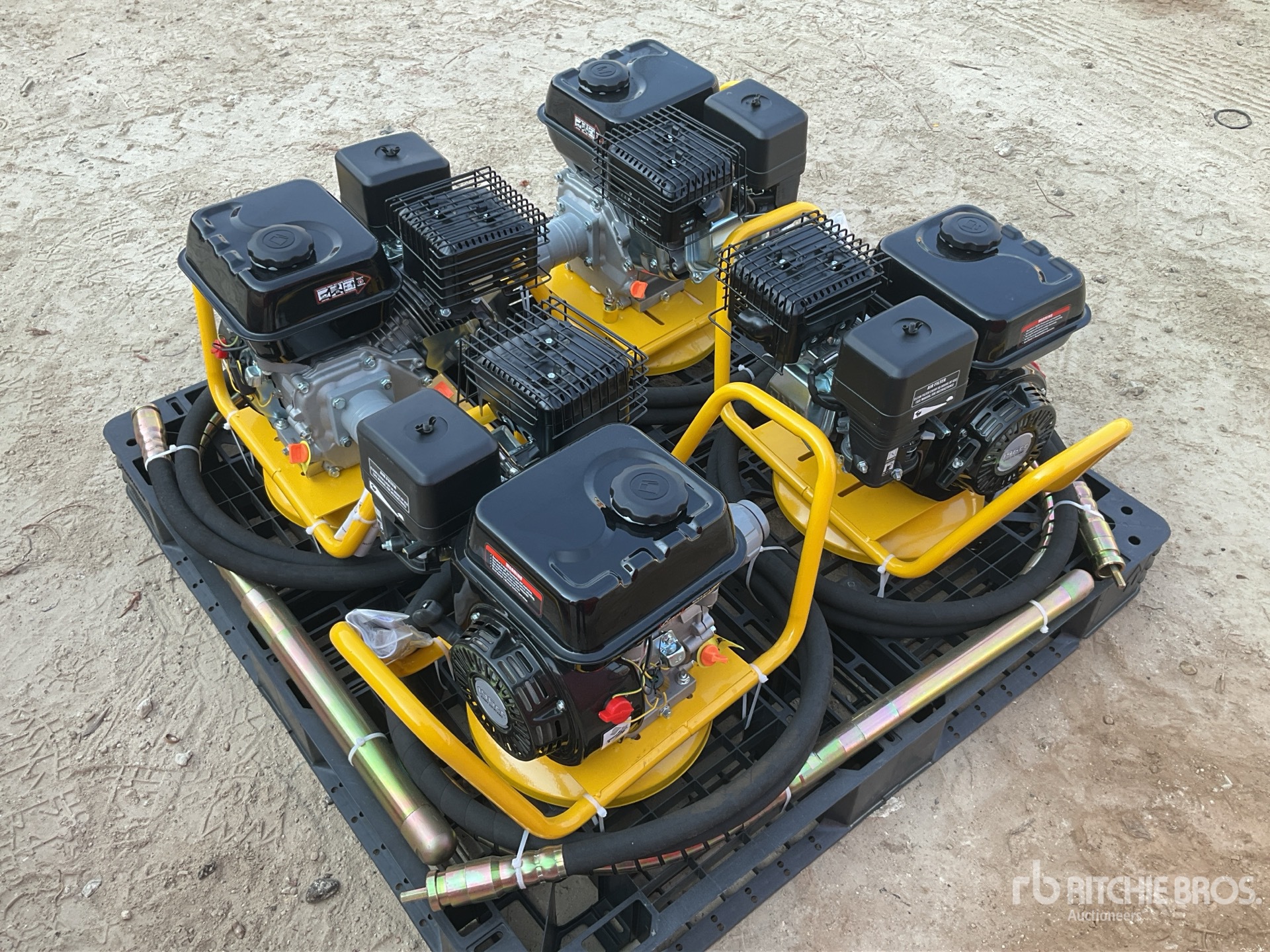 General Appearance with Bild, Ecke hinten links