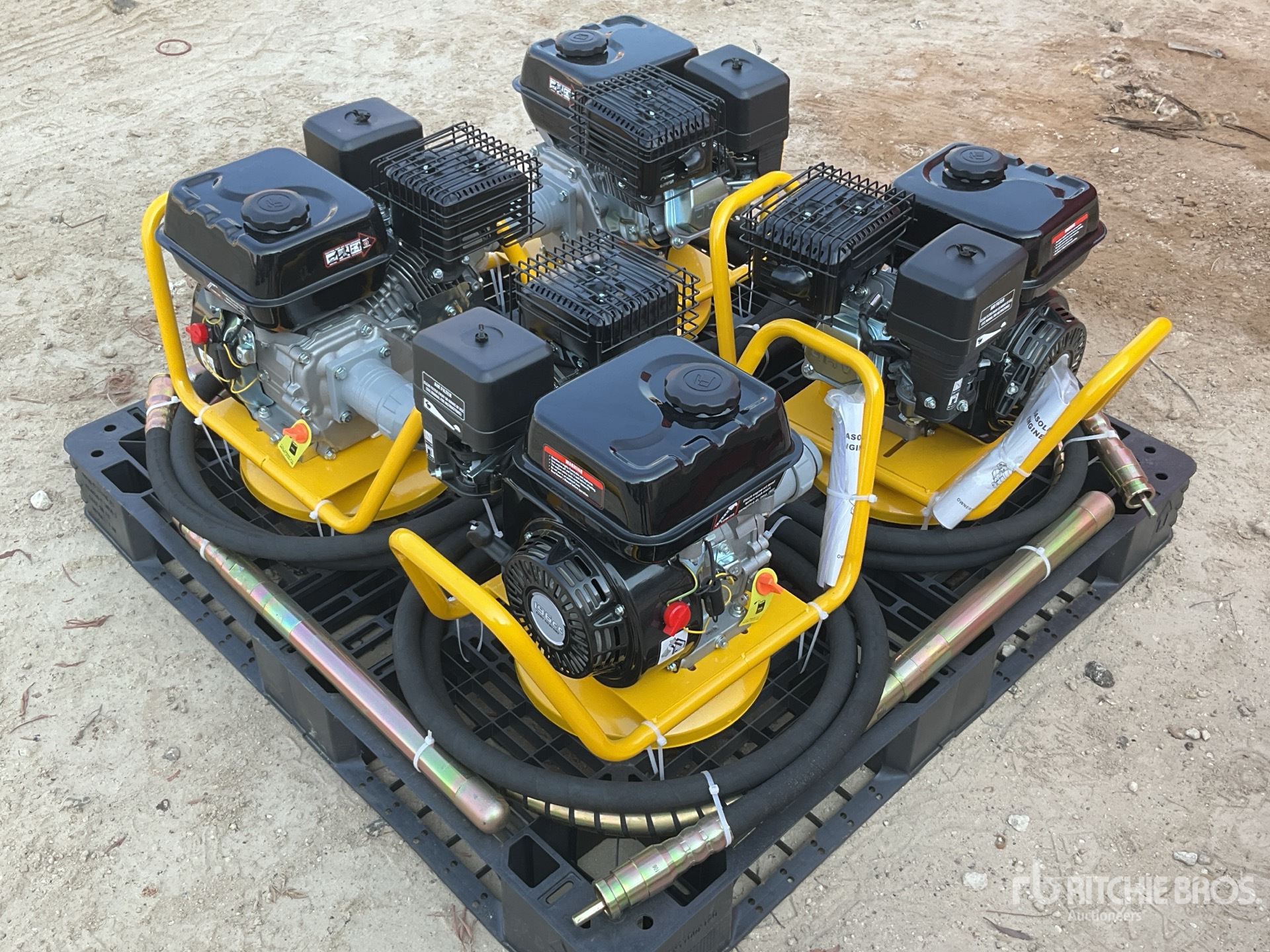 General Appearance with Bild, Ecke vorne links