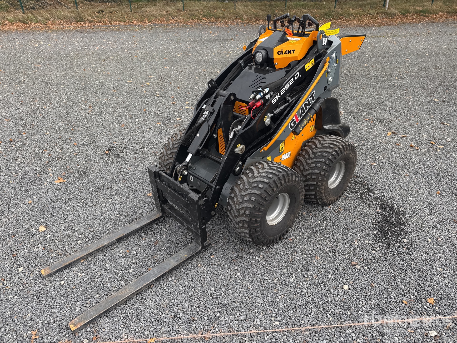 General Appearance with Bild, Ecke vorne links