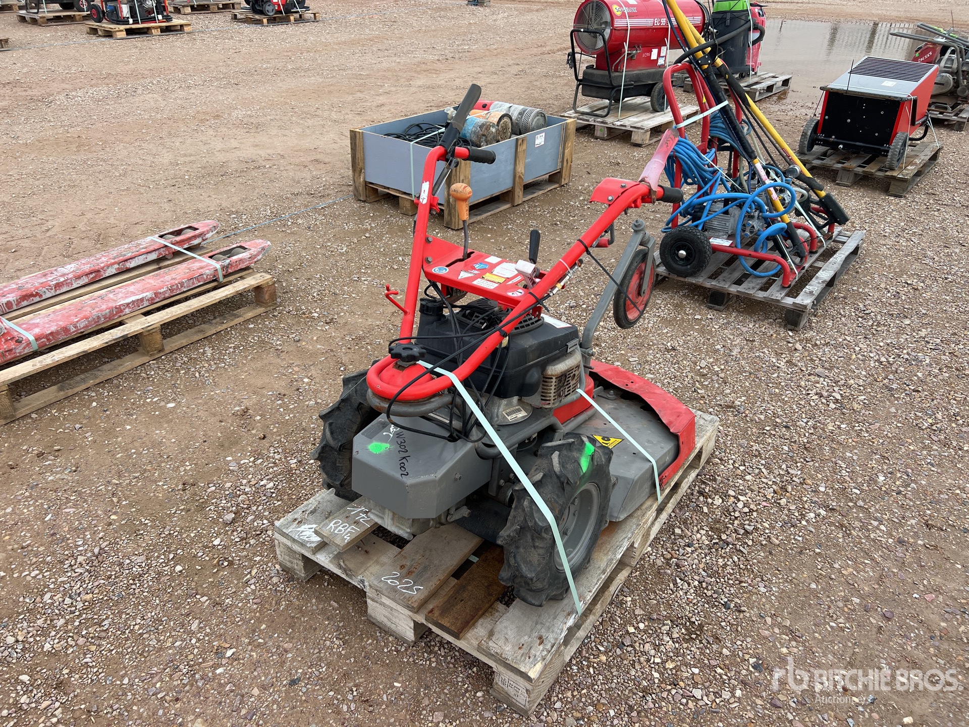 General Appearance with