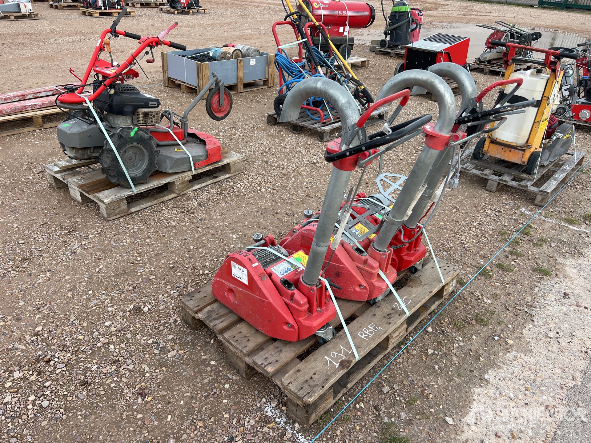 General Appearance with 