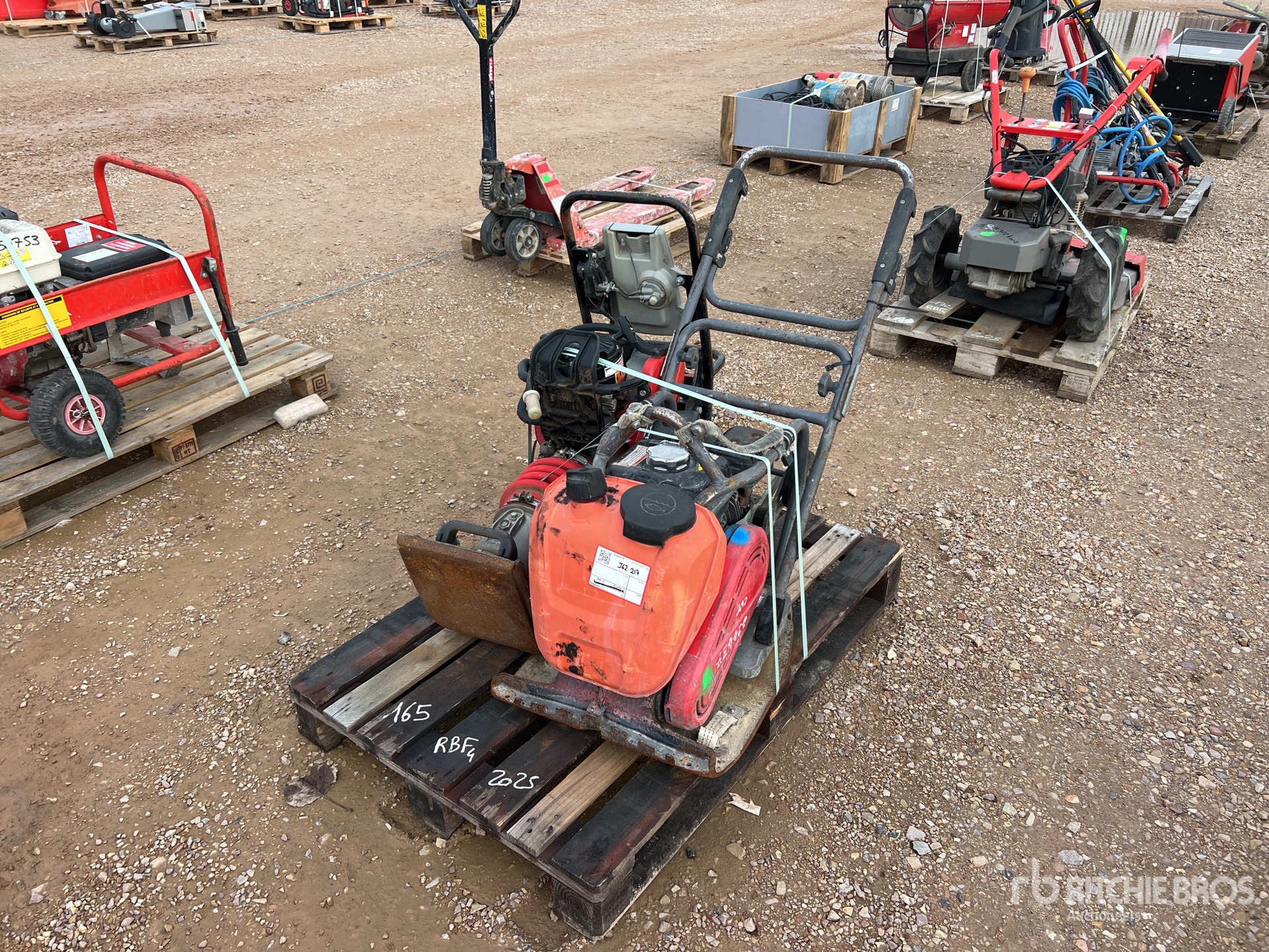 General Appearance with 