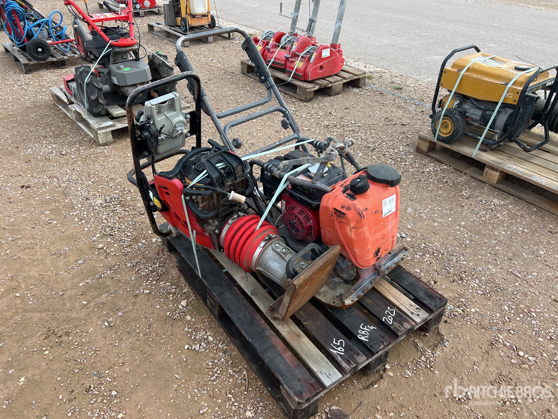 General Appearance with 