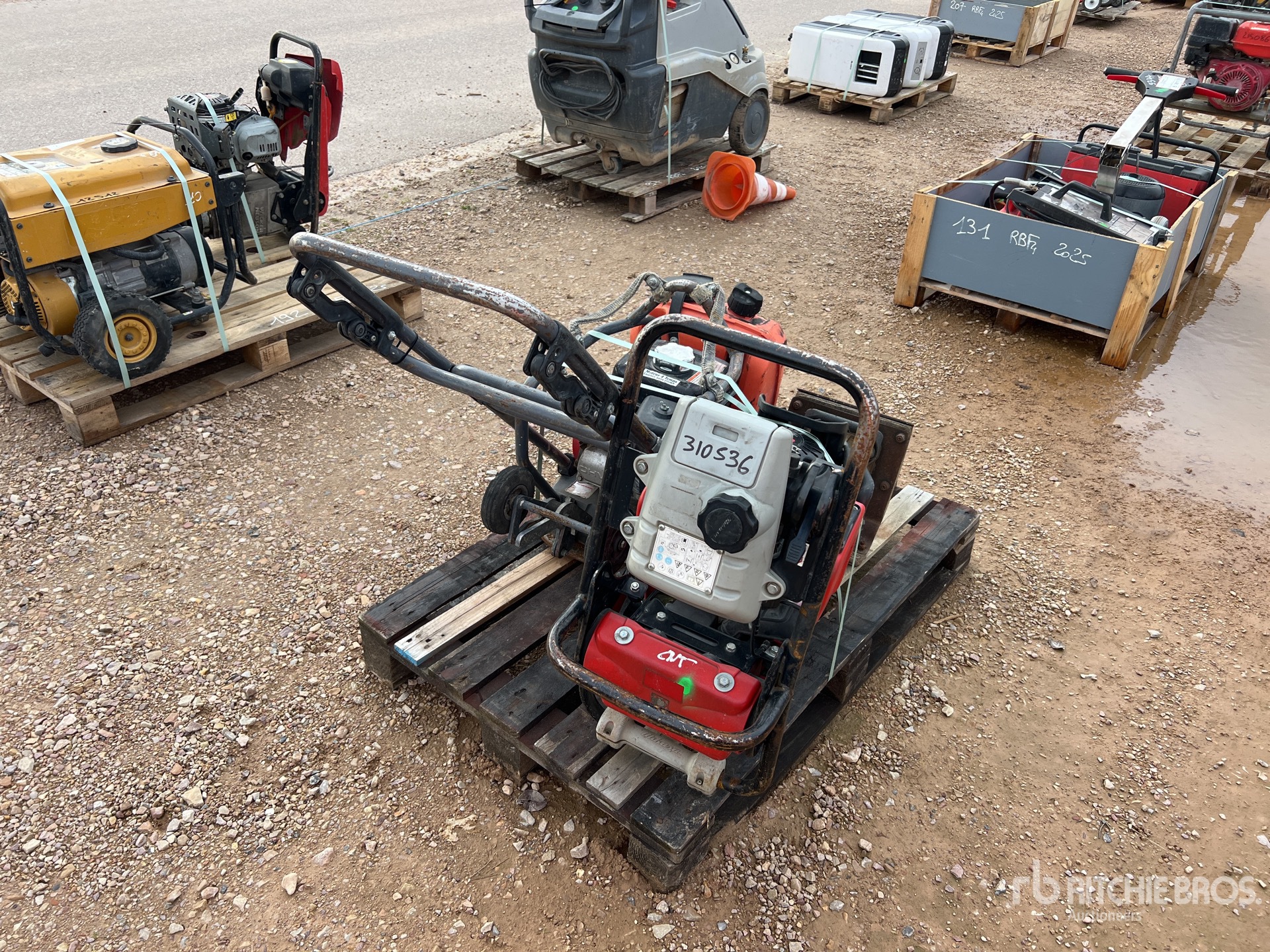 General Appearance with 