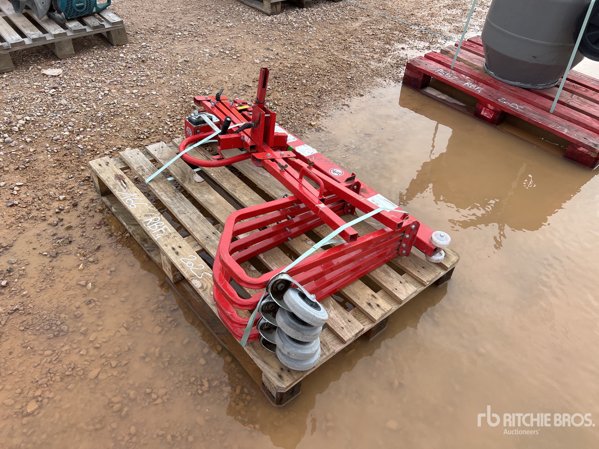 General Appearance with 