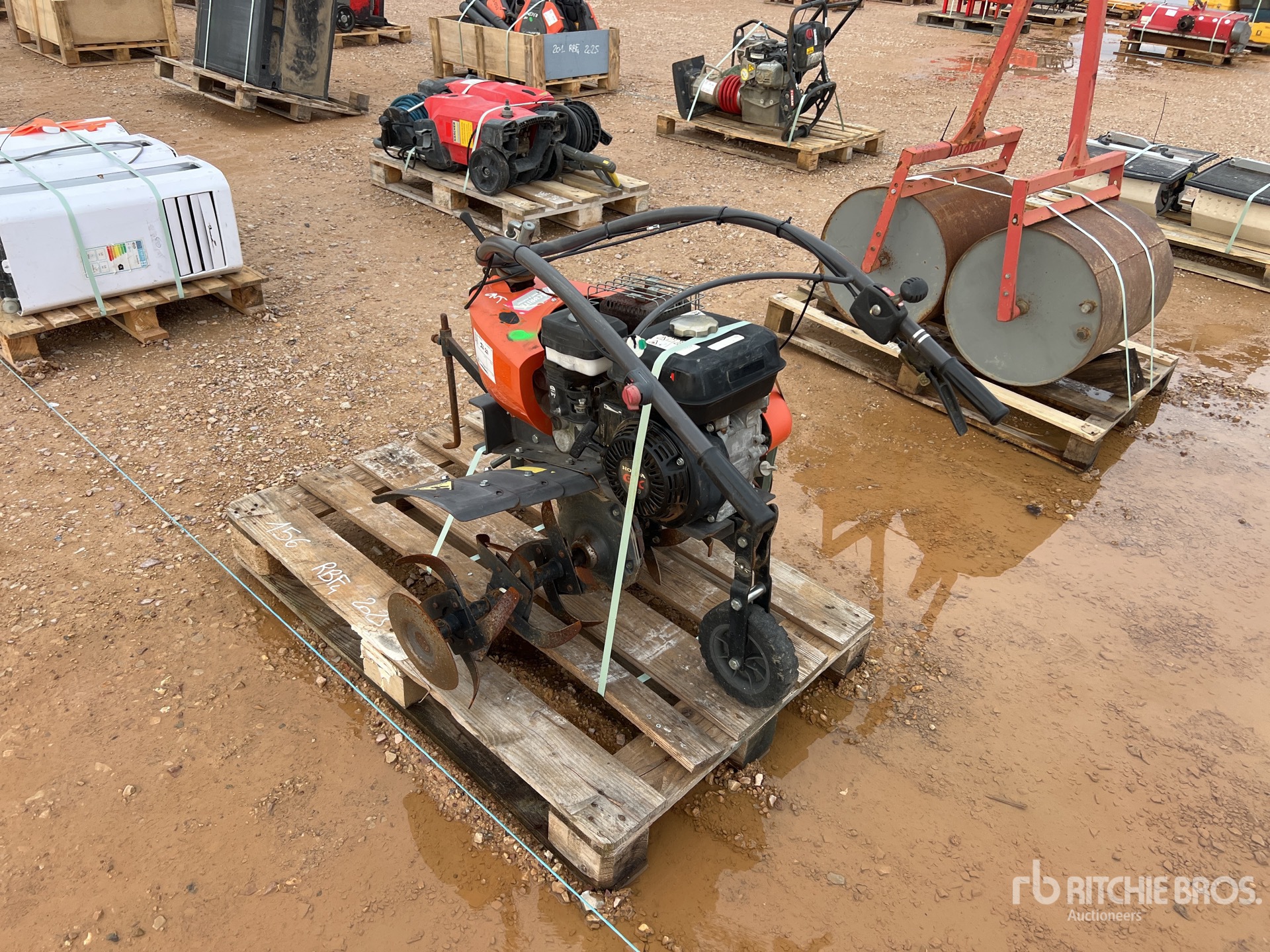 General Appearance with