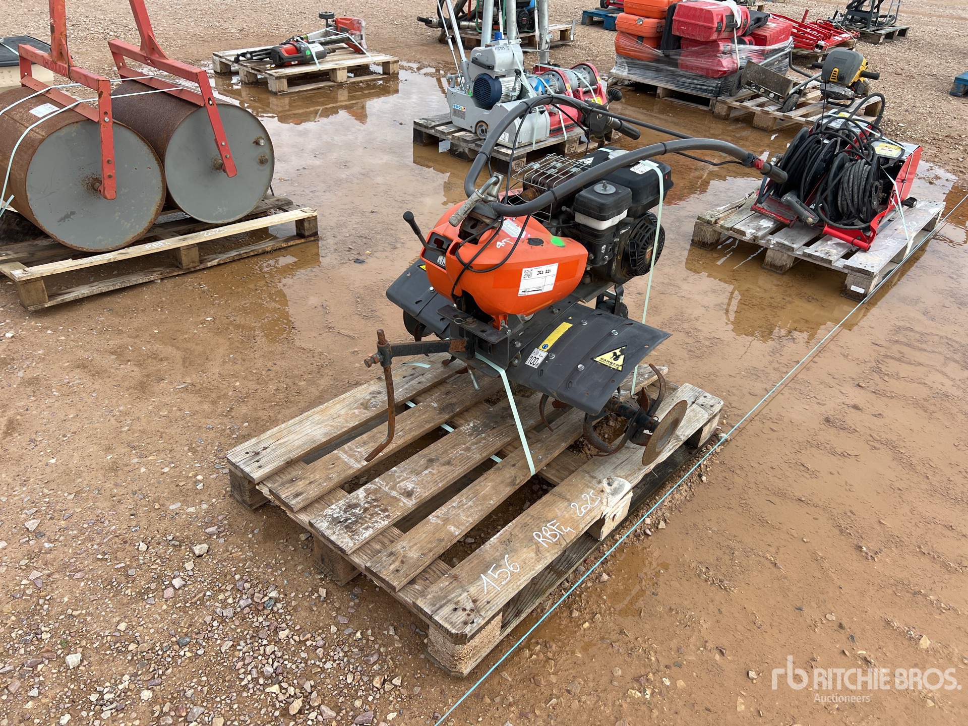 General Appearance with