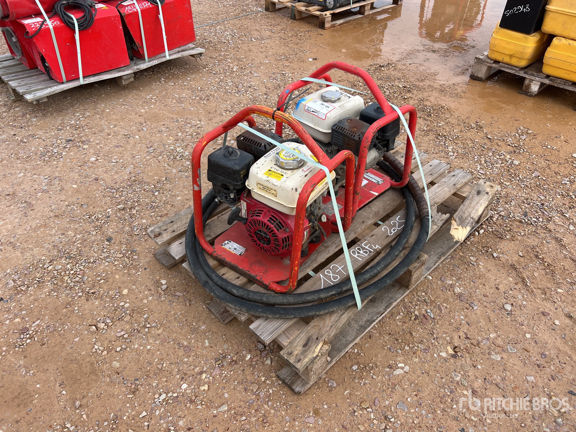 General Appearance with 