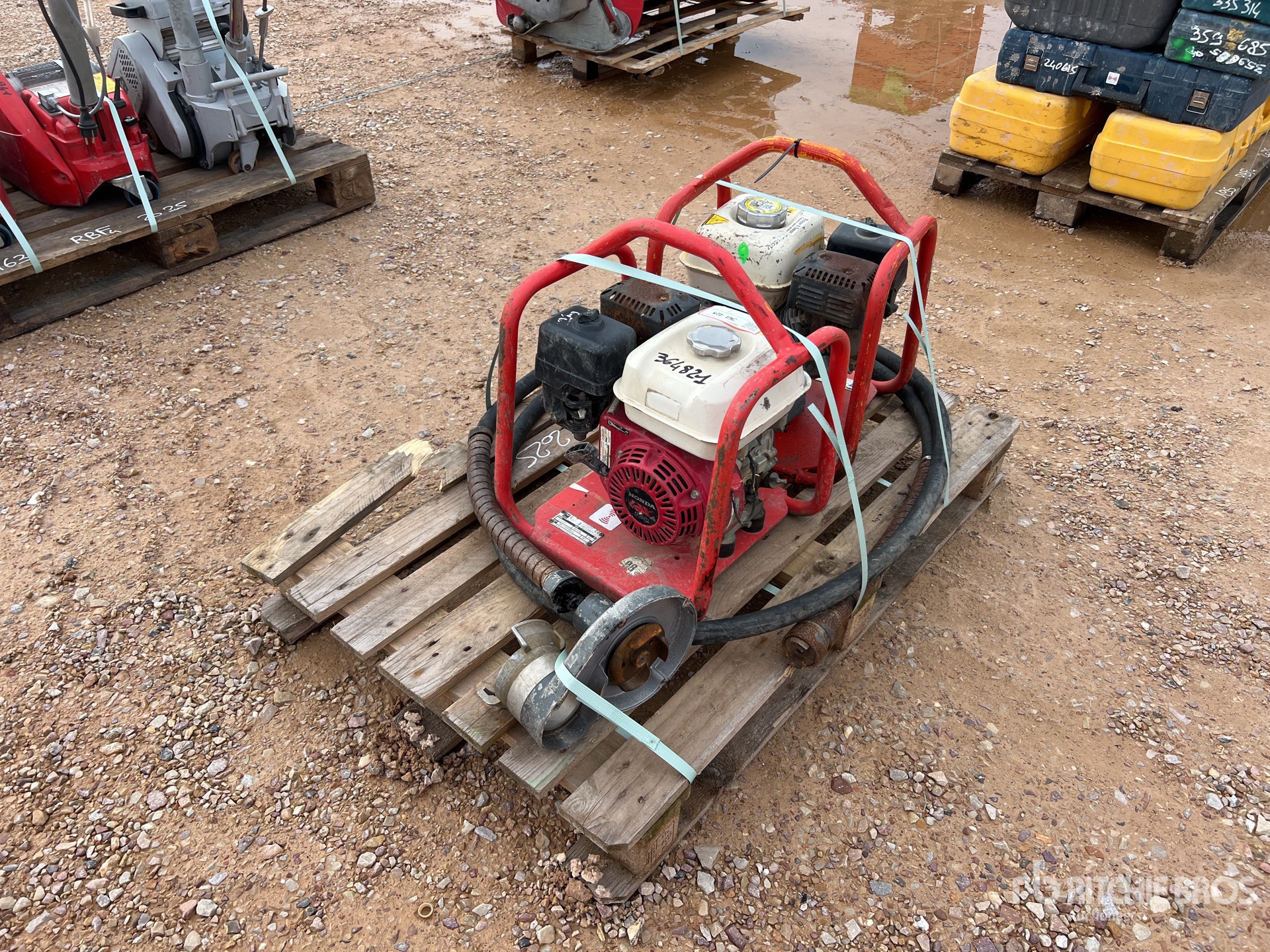 General Appearance with 