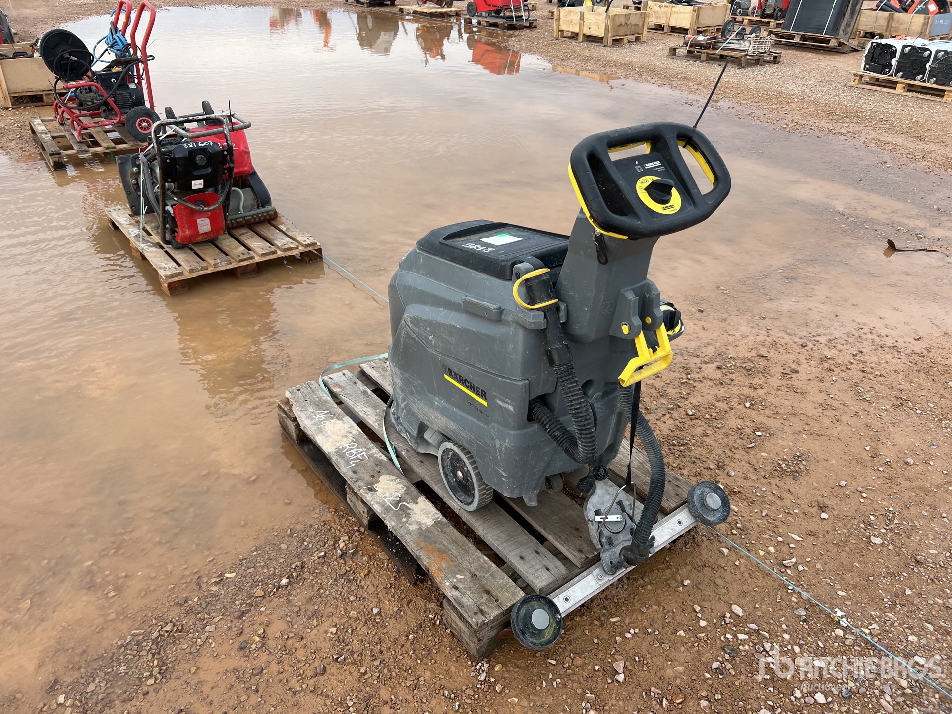 General Appearance with