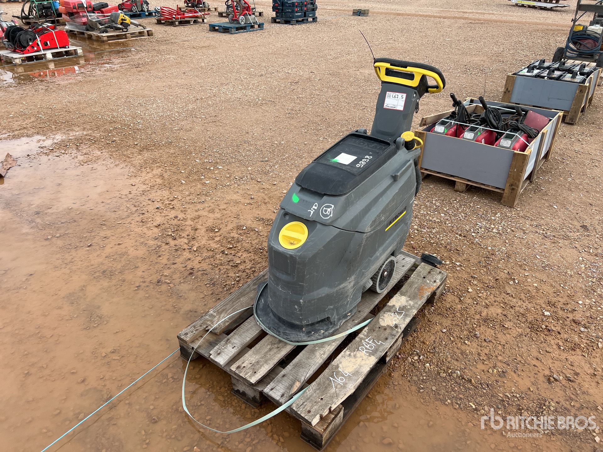 General Appearance with