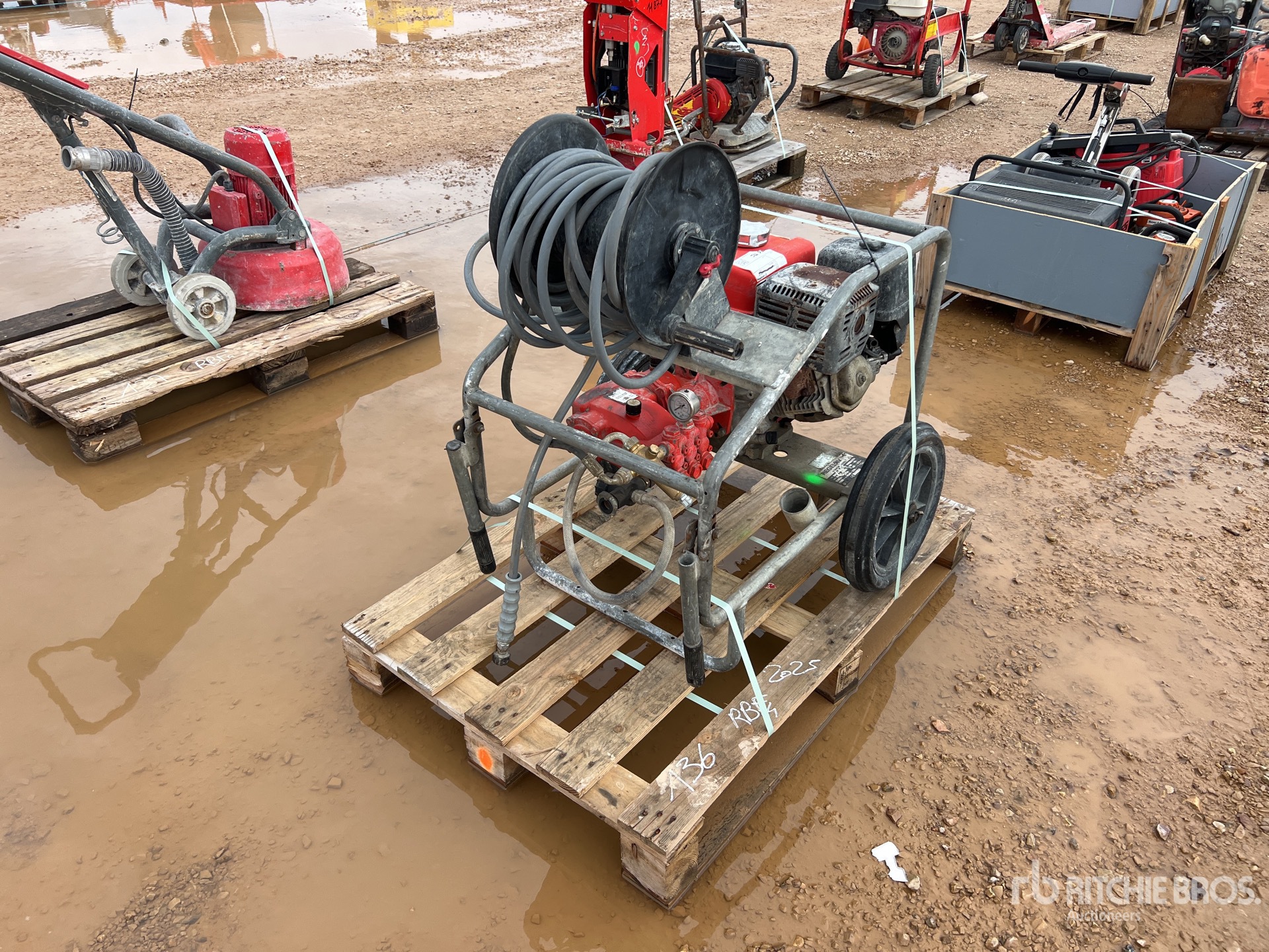 General Appearance with 