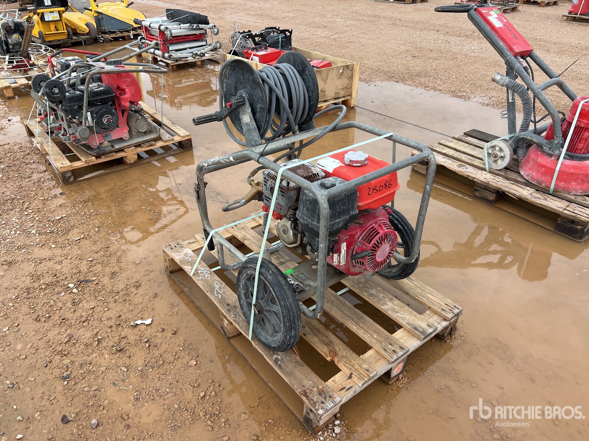 General Appearance with 