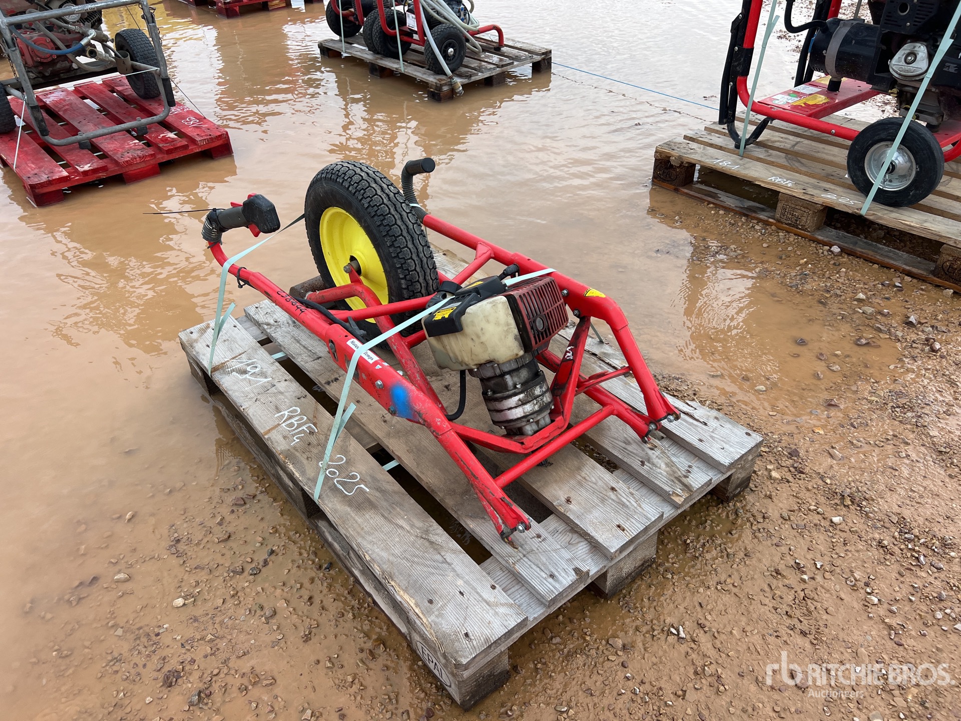 General Appearance with 