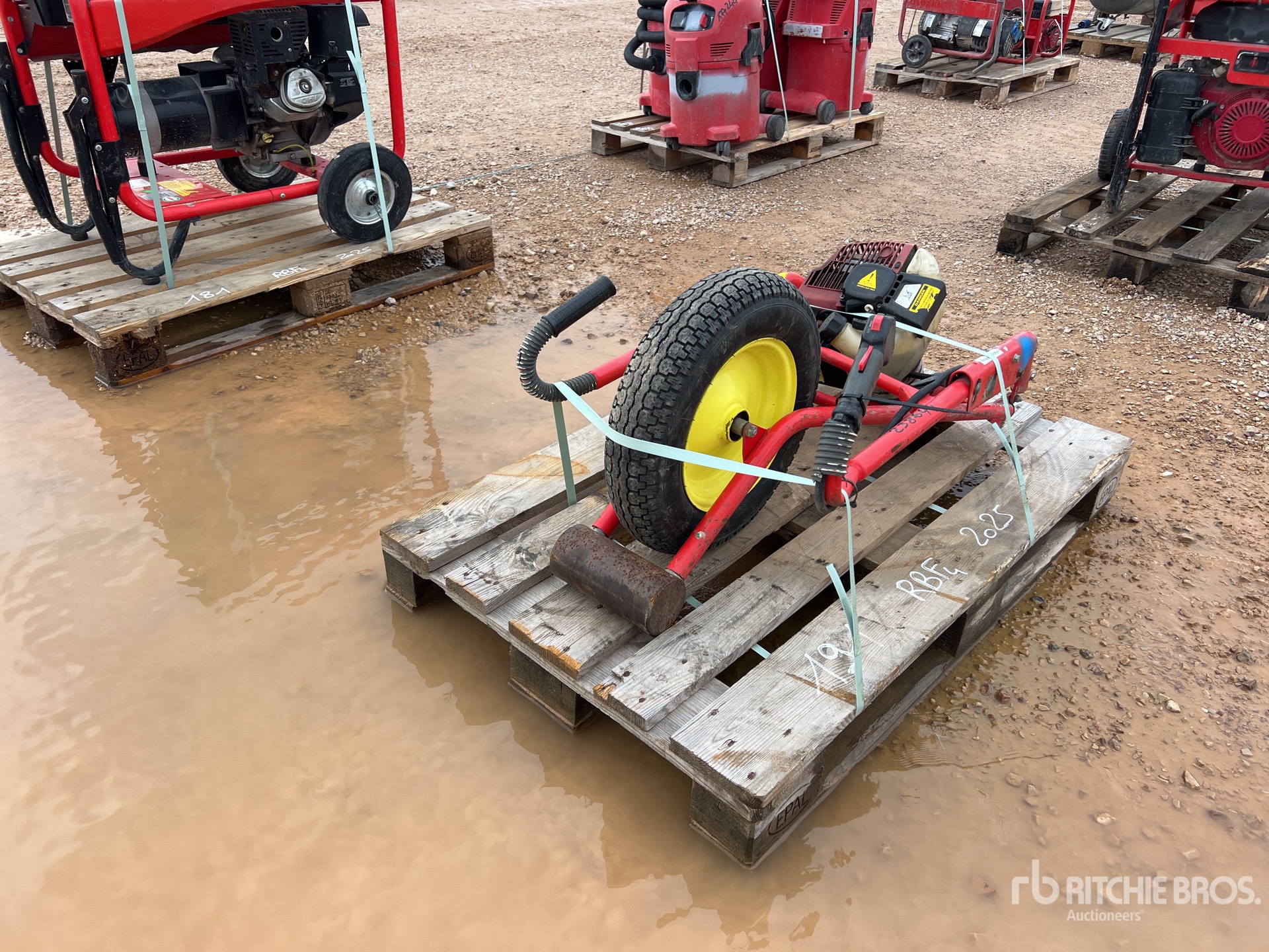 General Appearance with 