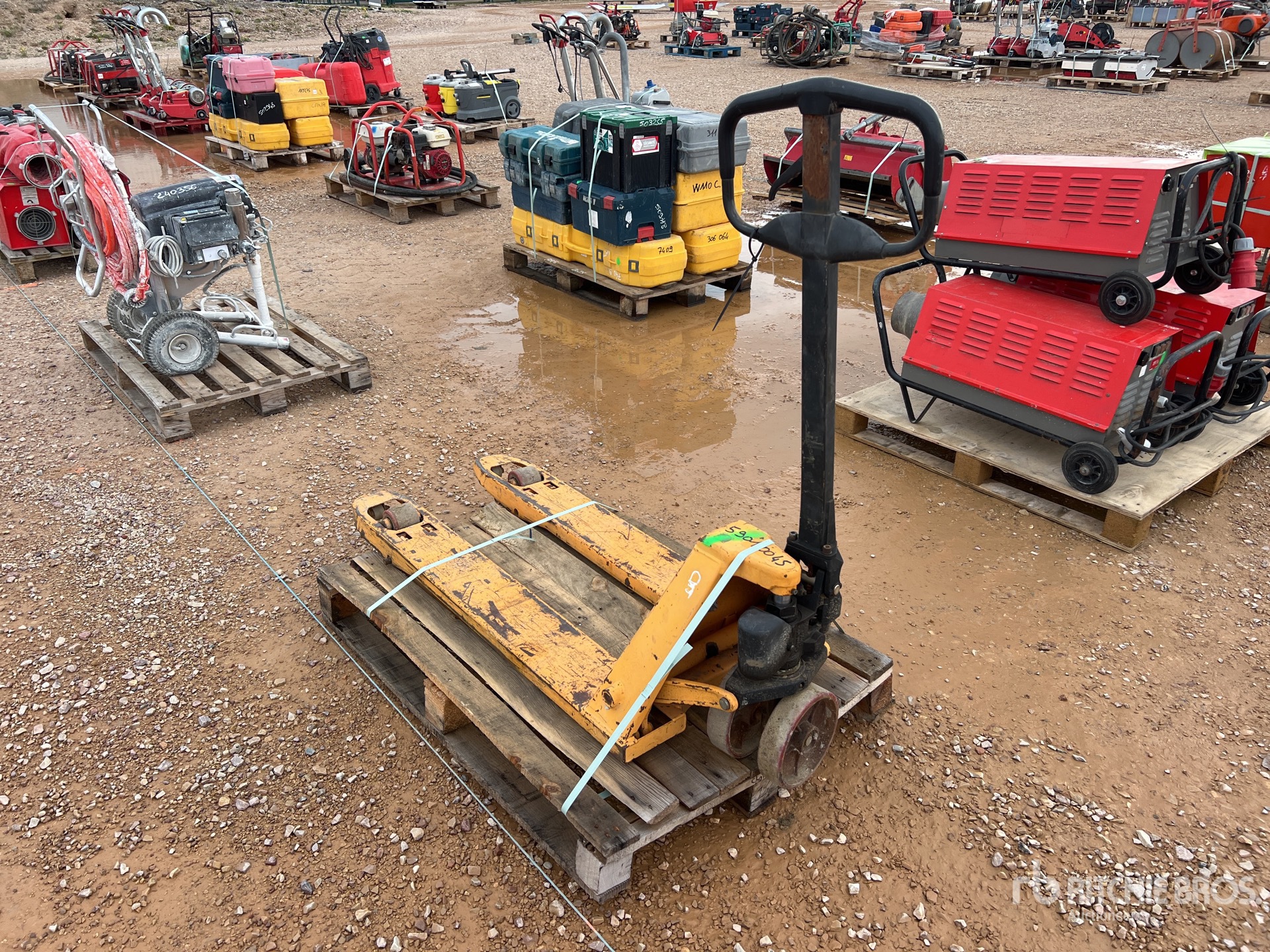 General Appearance with 