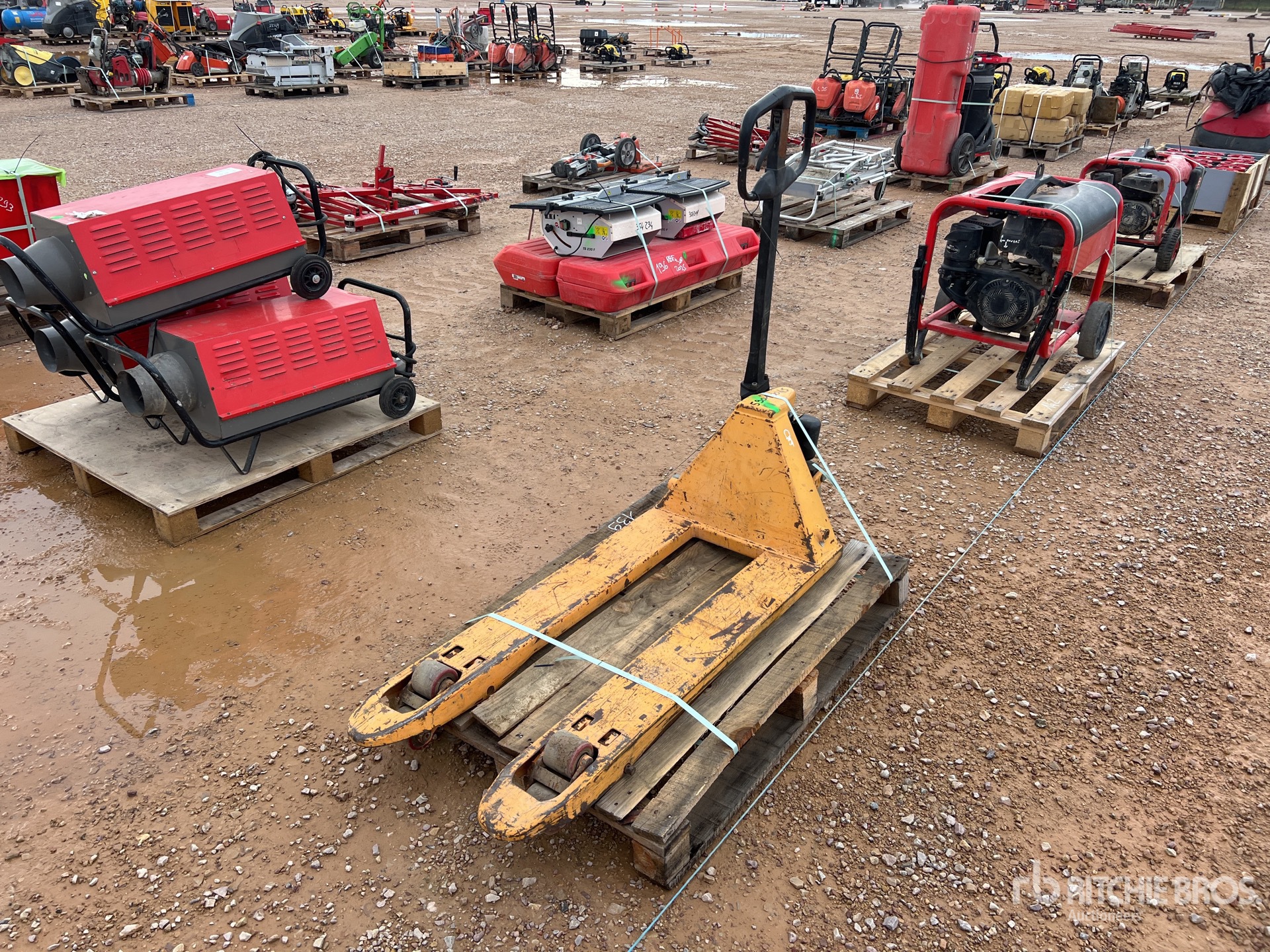 General Appearance with 