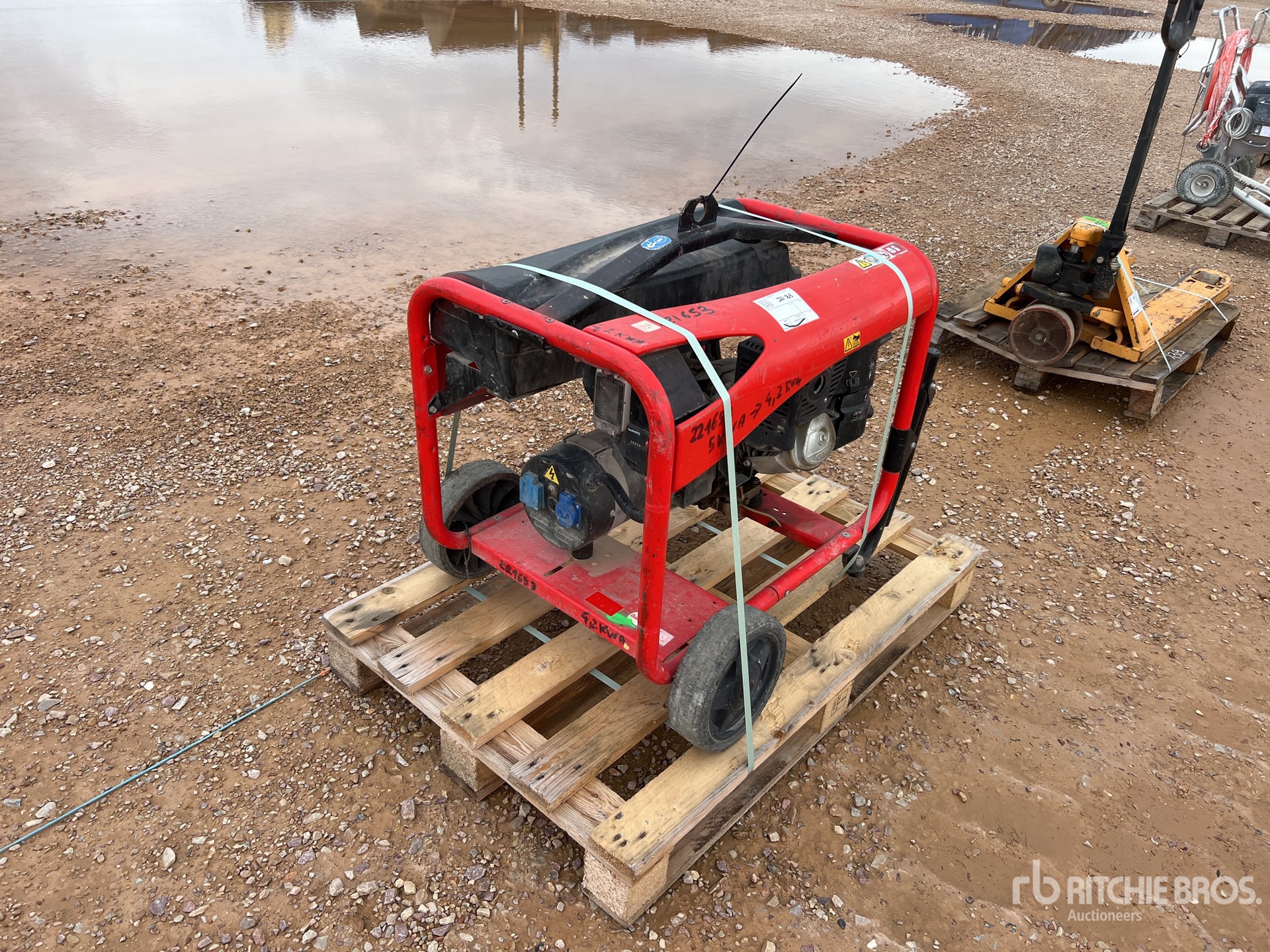 General Appearance with 