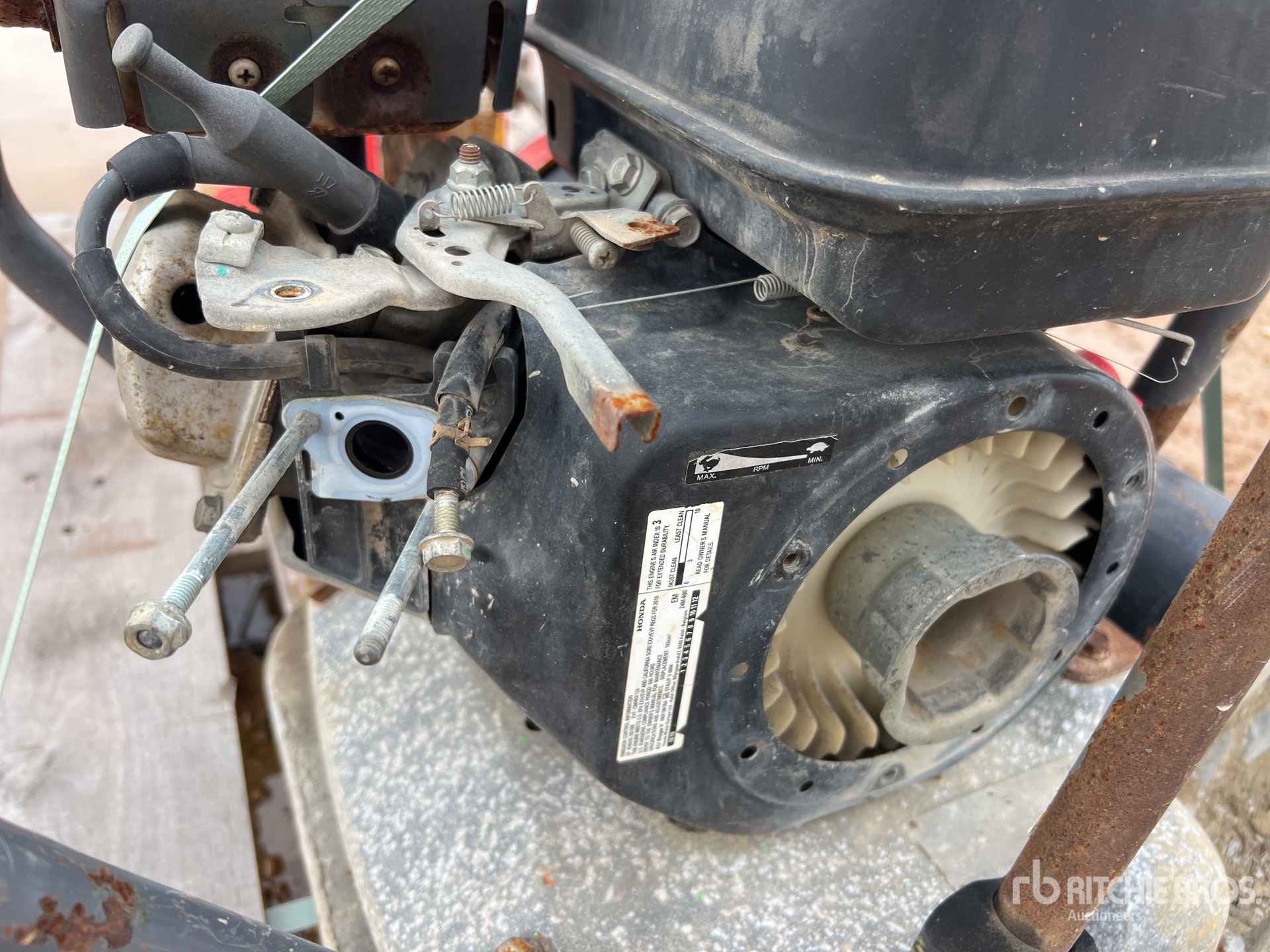 General Appearance with 