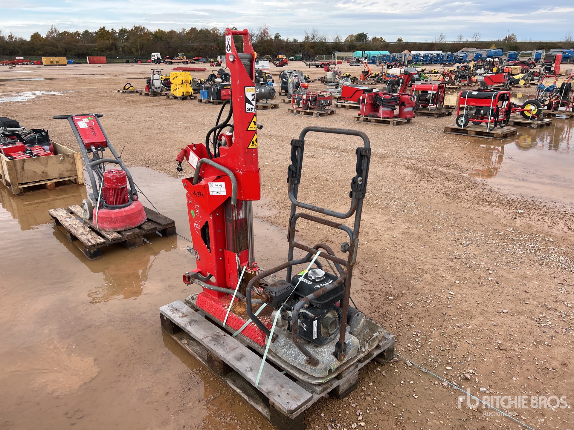 General Appearance with 