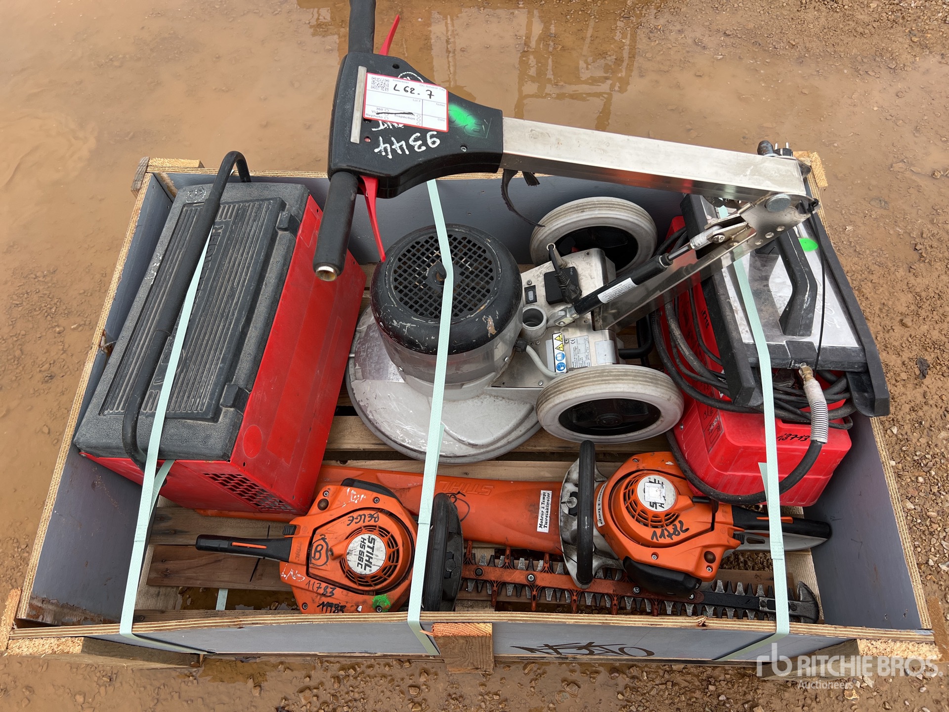 General Appearance with 