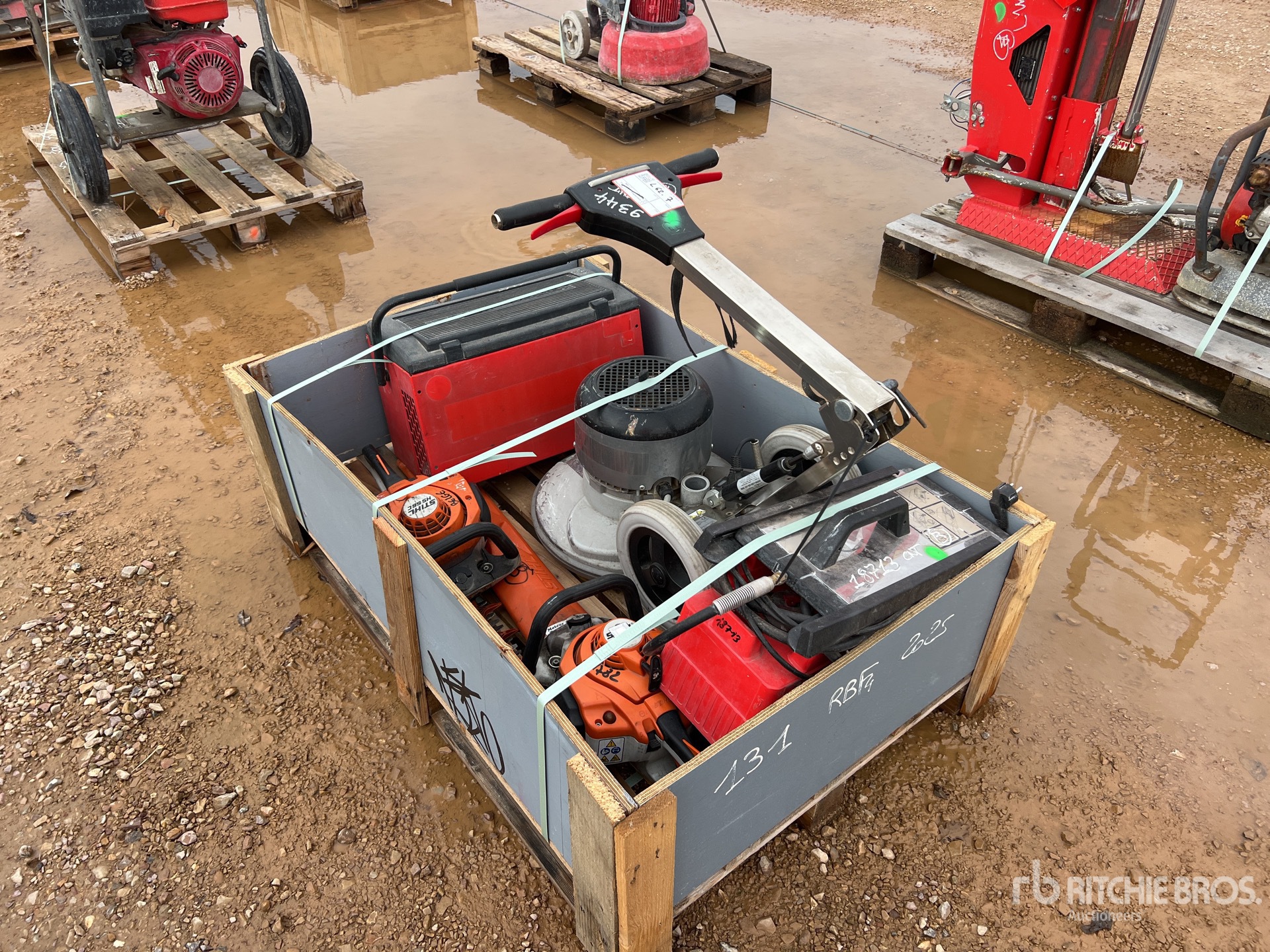 General Appearance with 