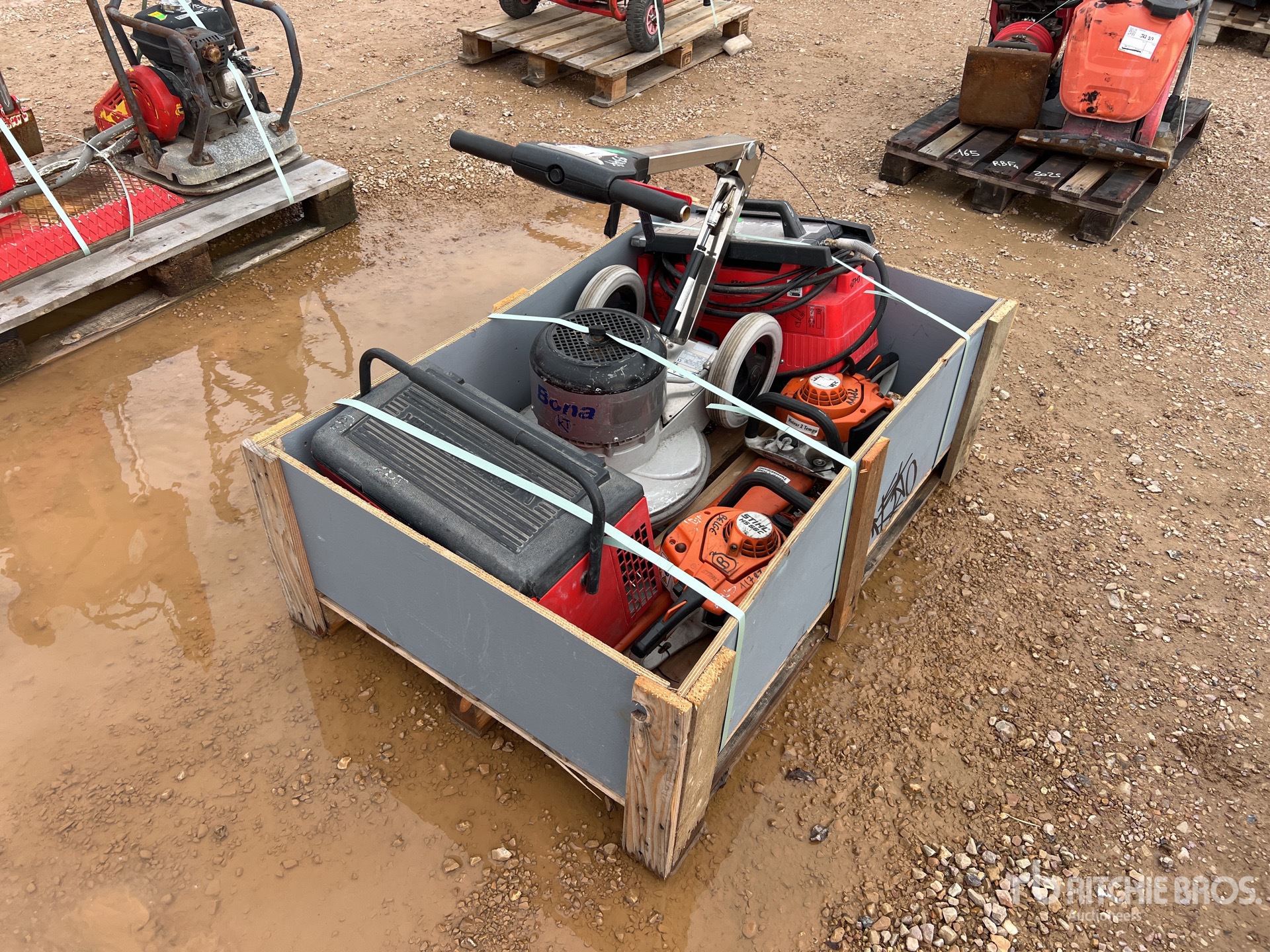 General Appearance with 