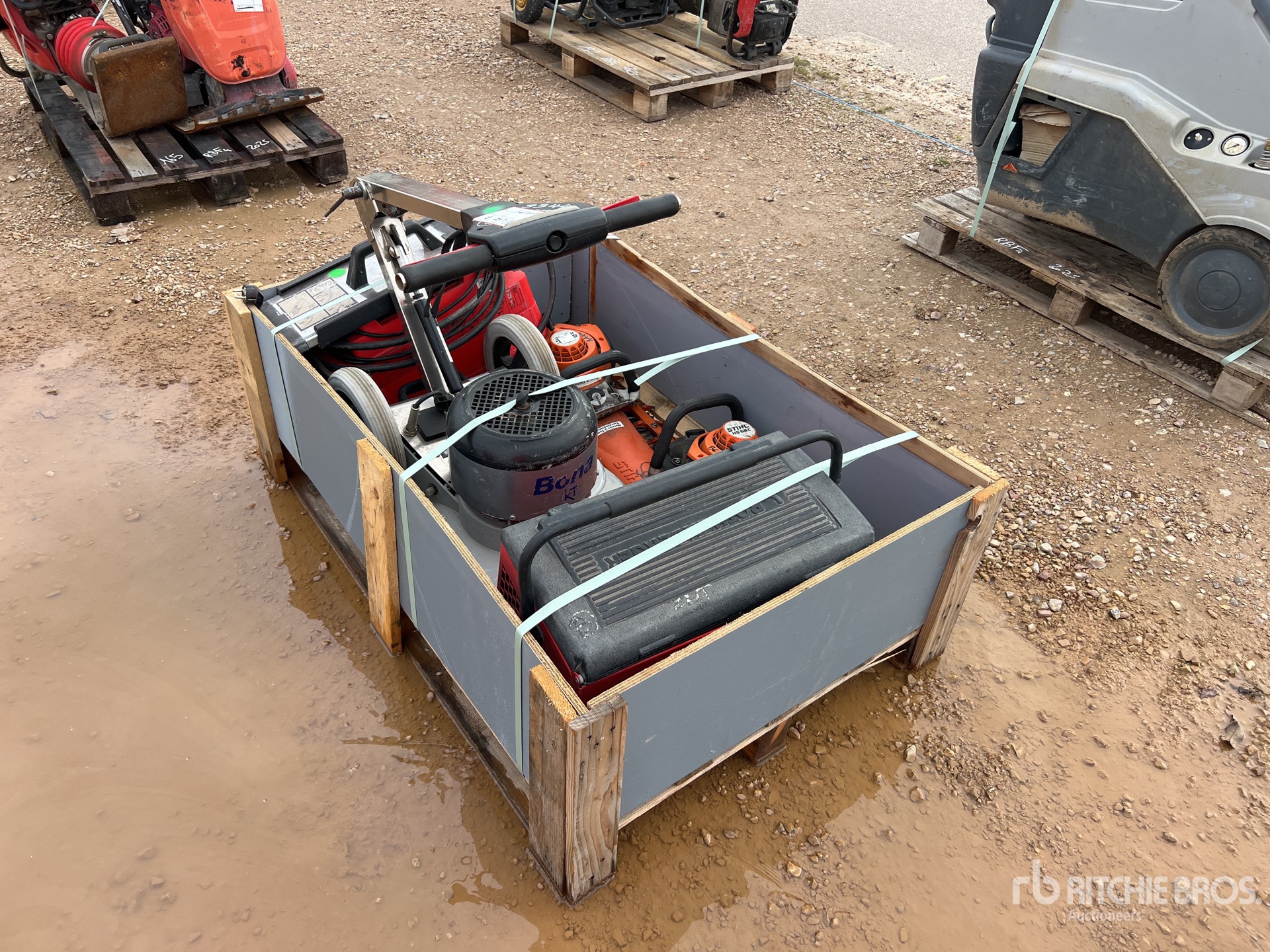 General Appearance with 