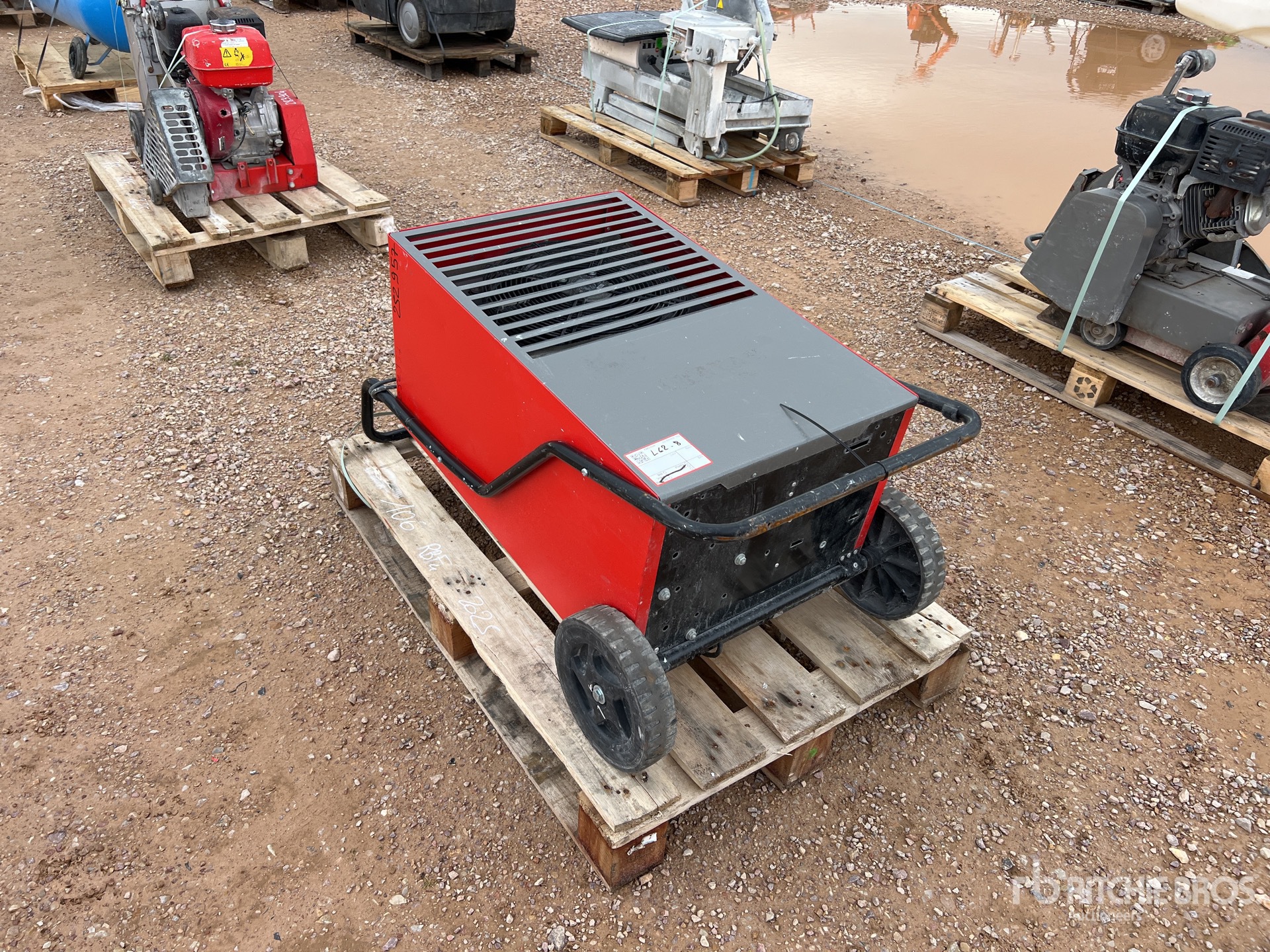 General Appearance with