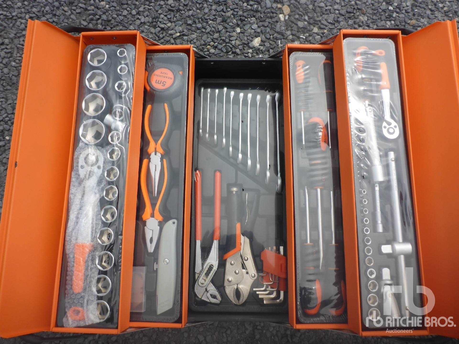 General Appearance with 