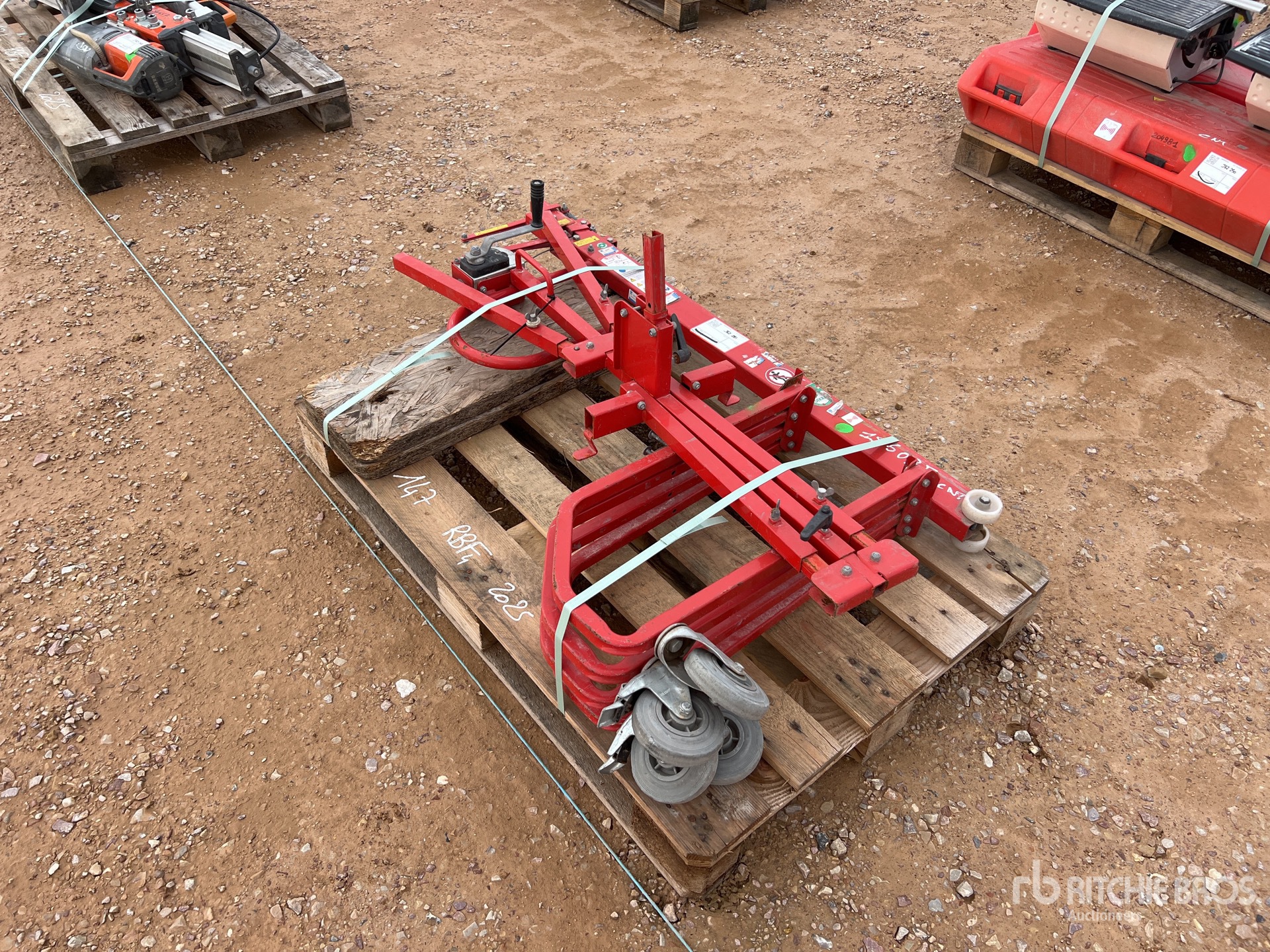 General Appearance with 