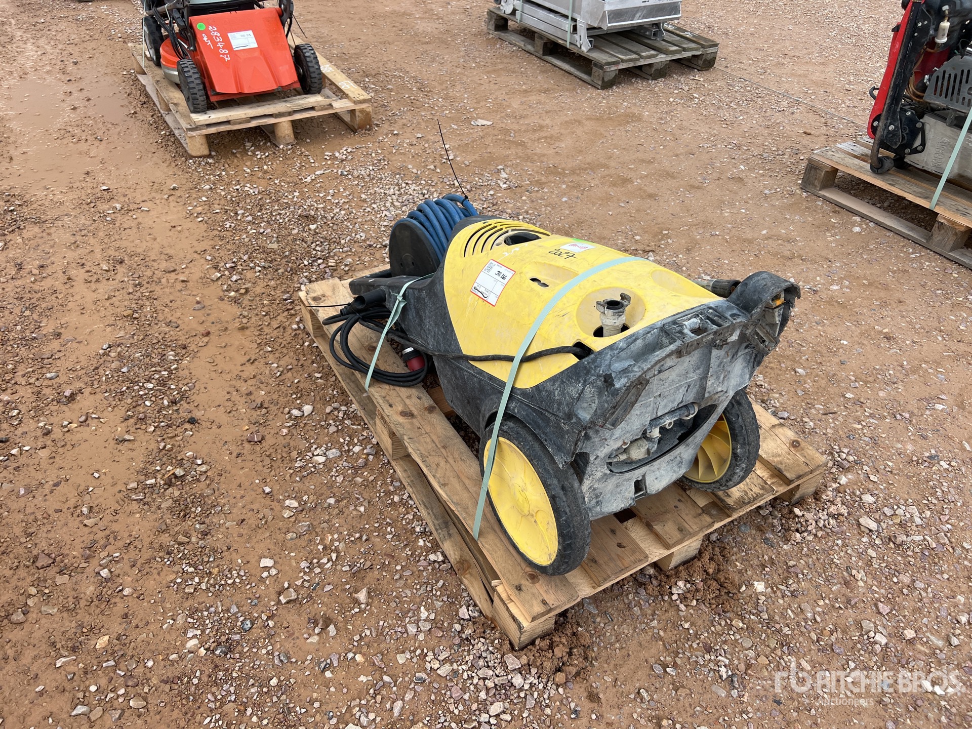 General Appearance with