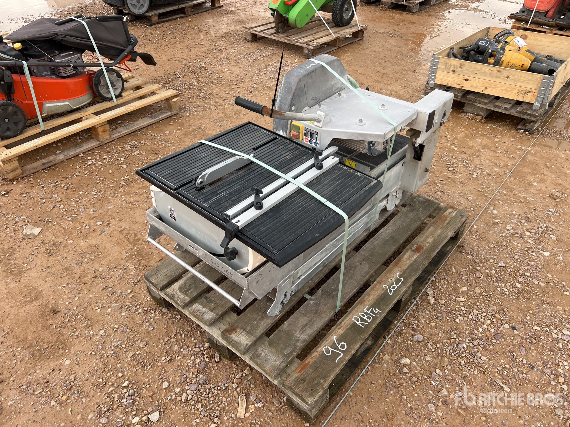 General Appearance with