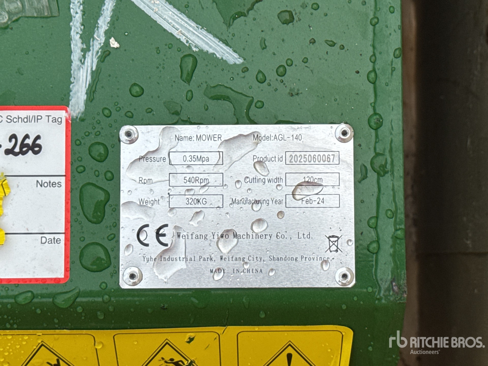 General Appearance with