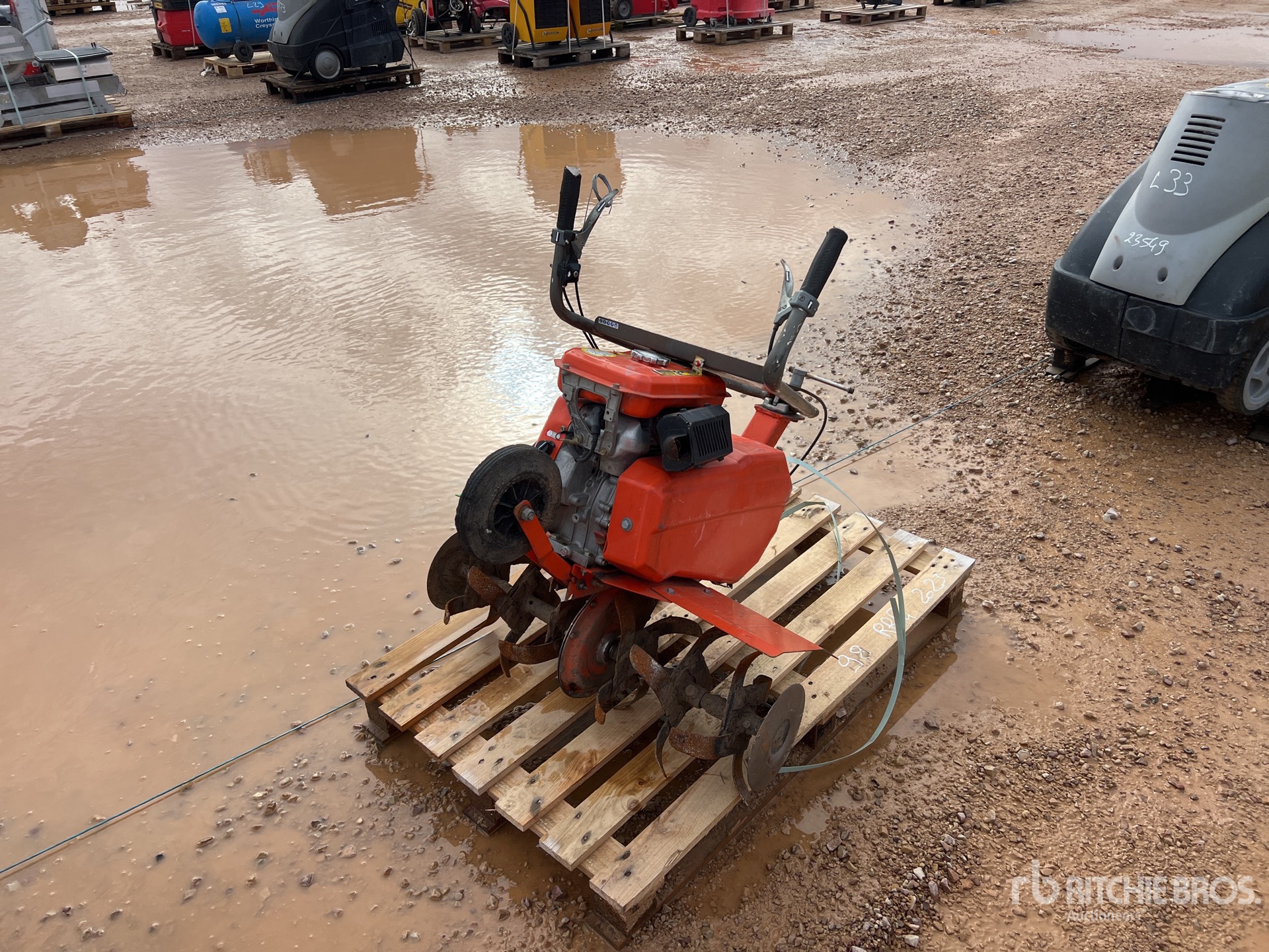 General Appearance with