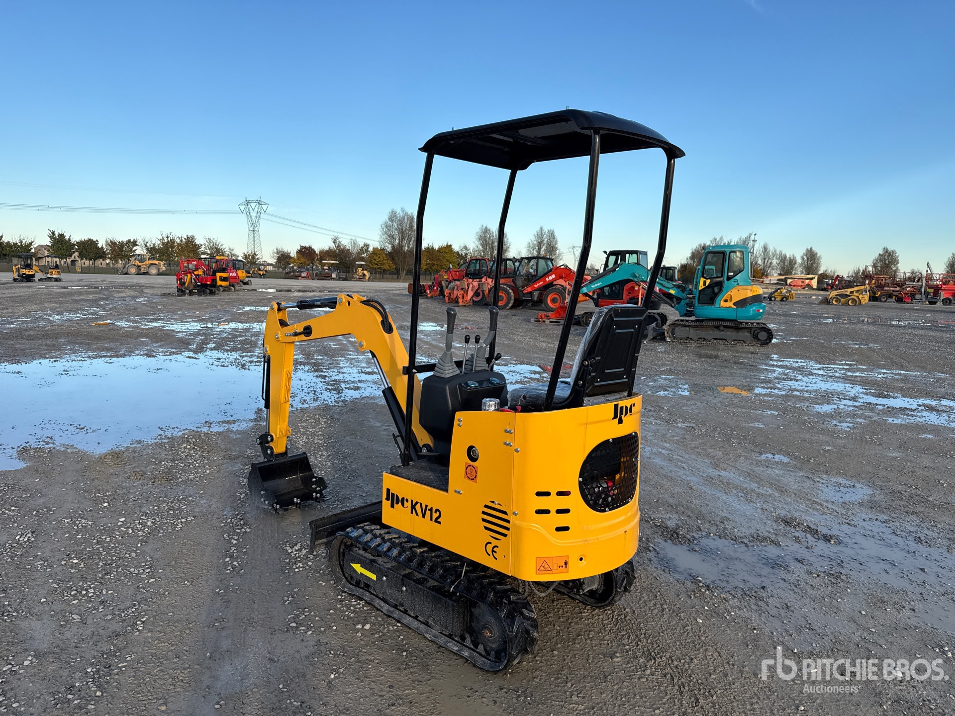 General Appearance with 