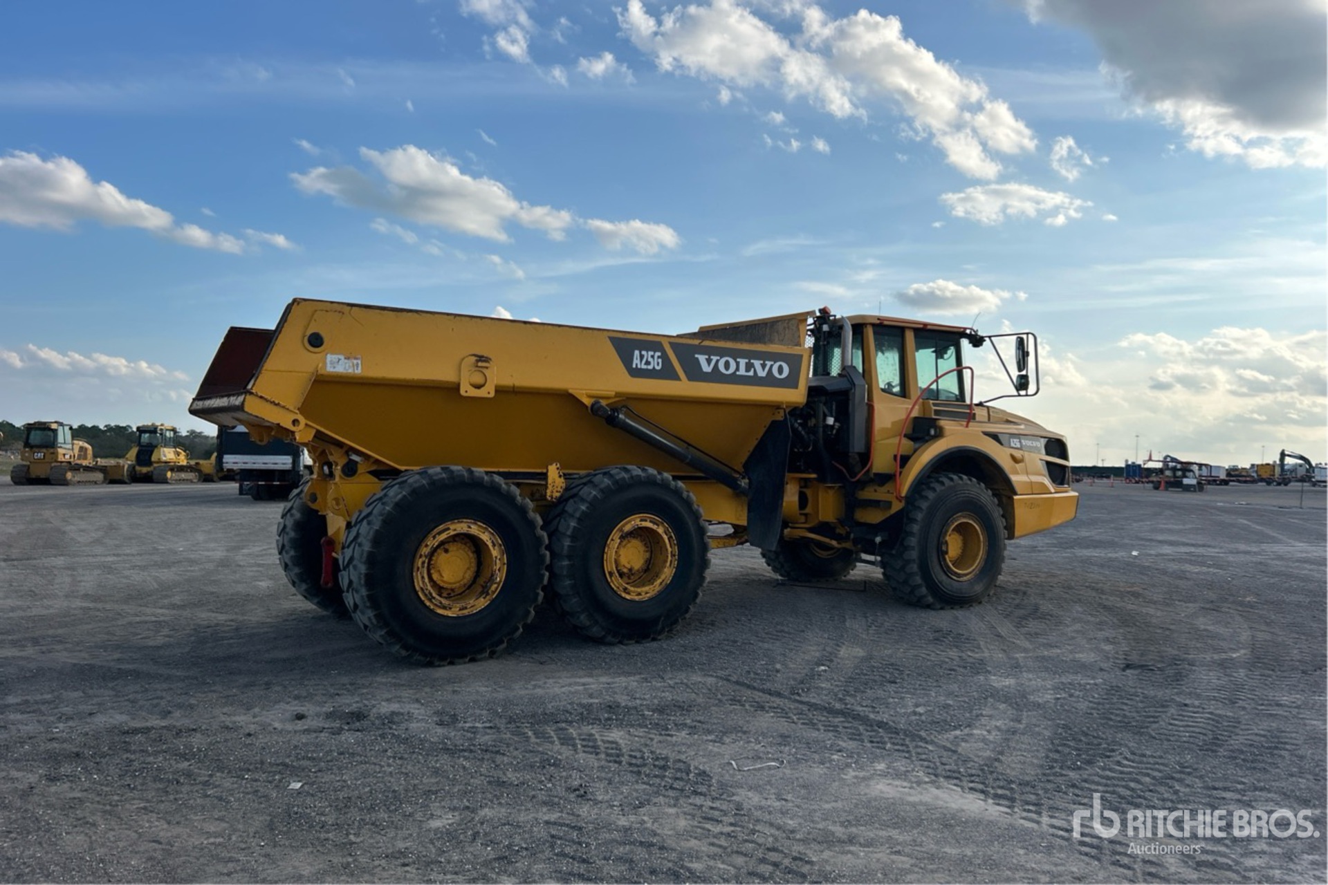 General Appearance with Foto, angolo anteriore sinistro