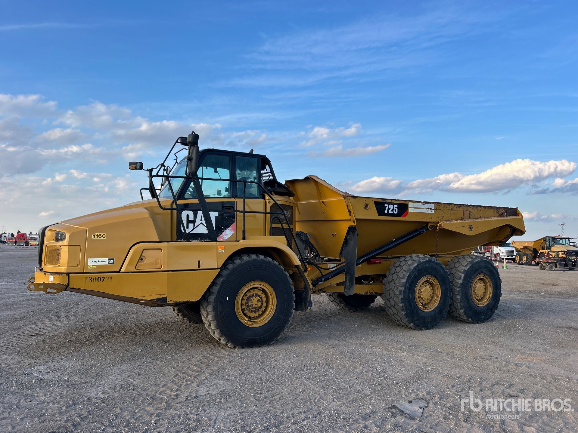 General Appearance with Spin