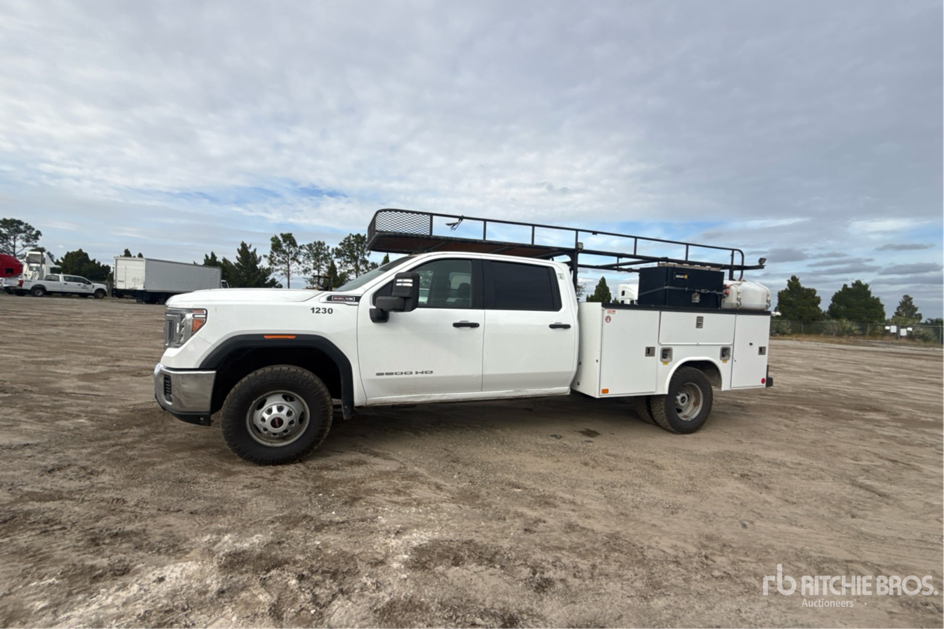 General Appearance with Spin