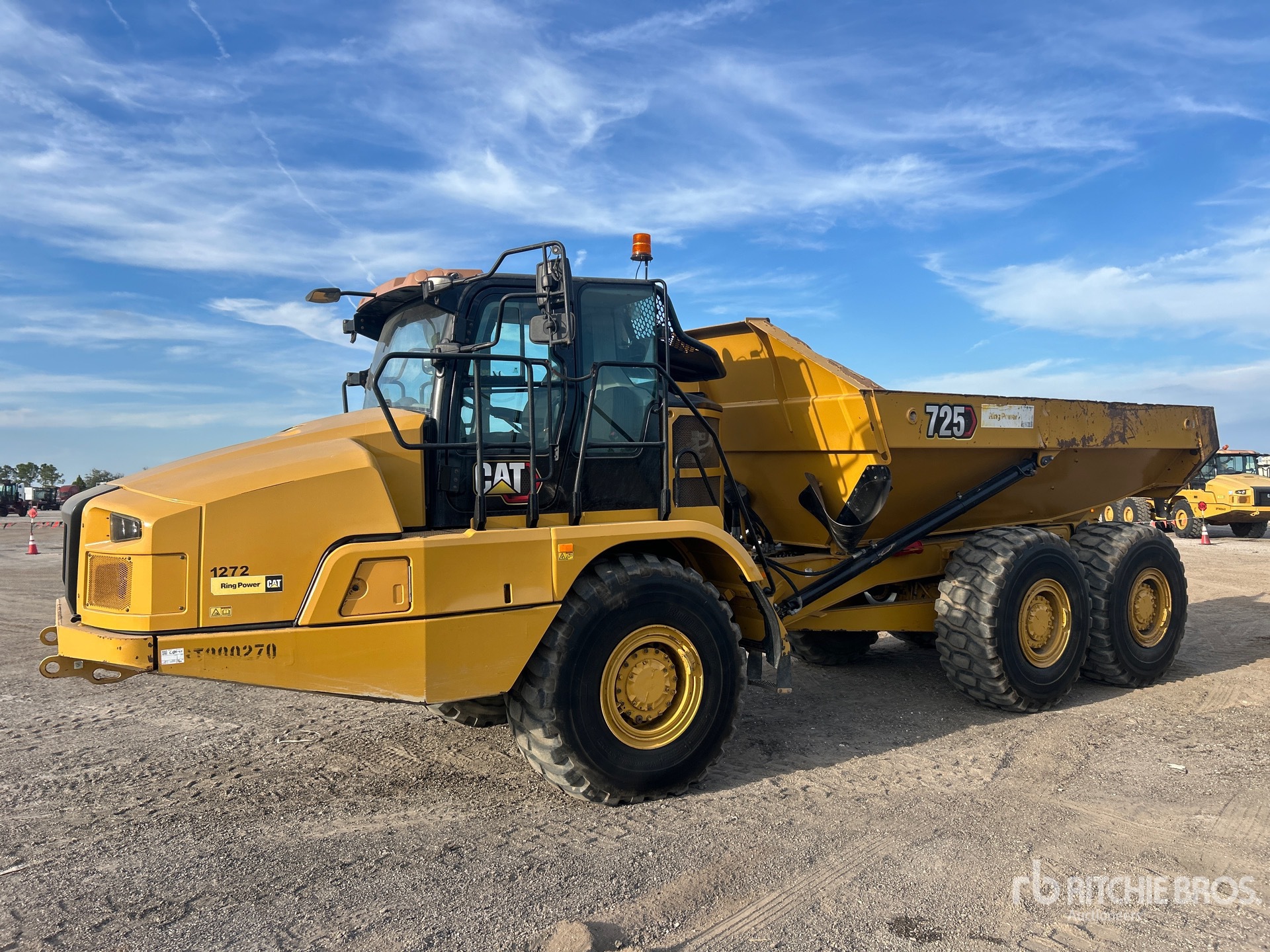 General Appearance with Spin