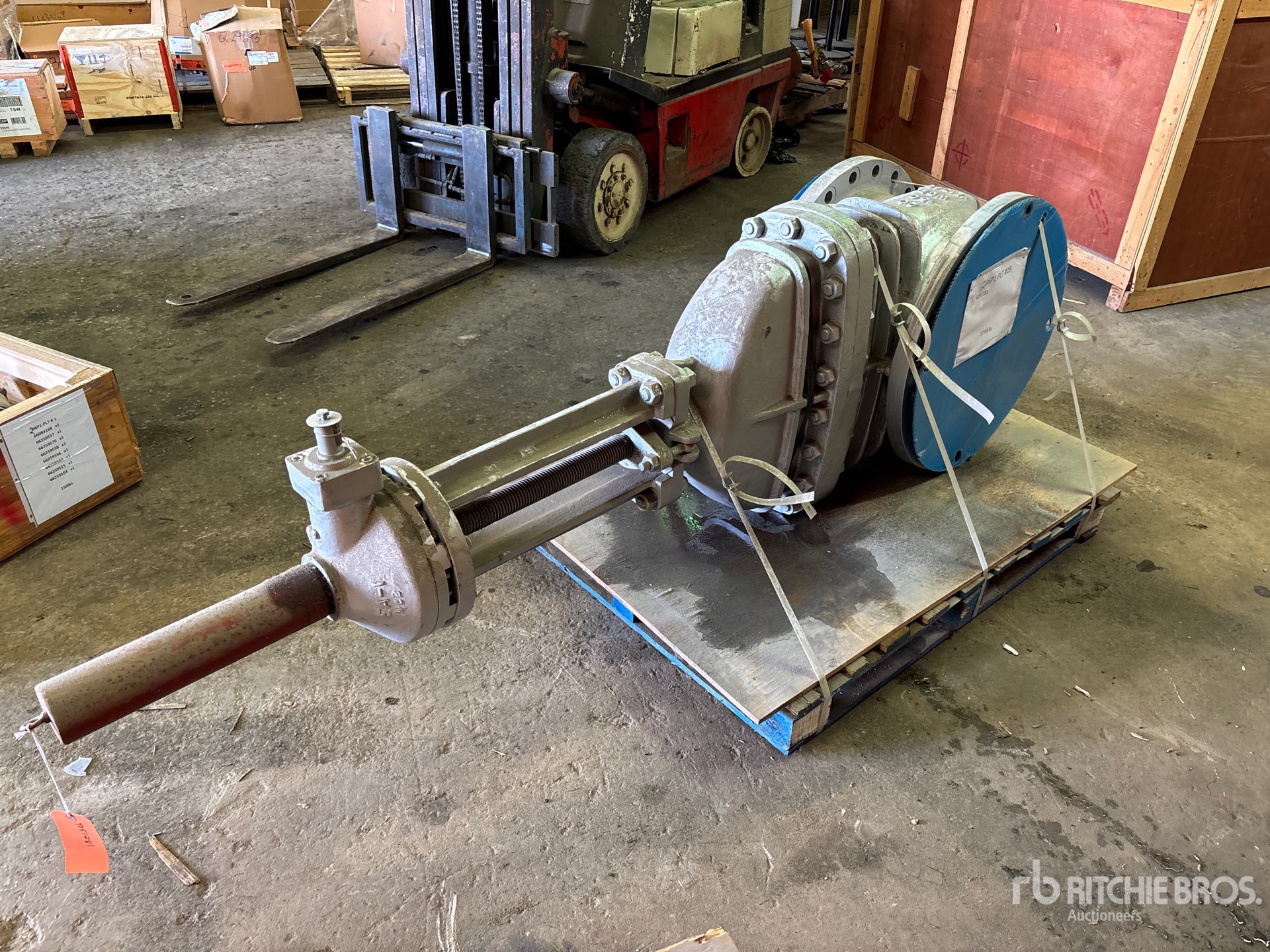 General Appearance with Zdjęcie, lewy górny róg