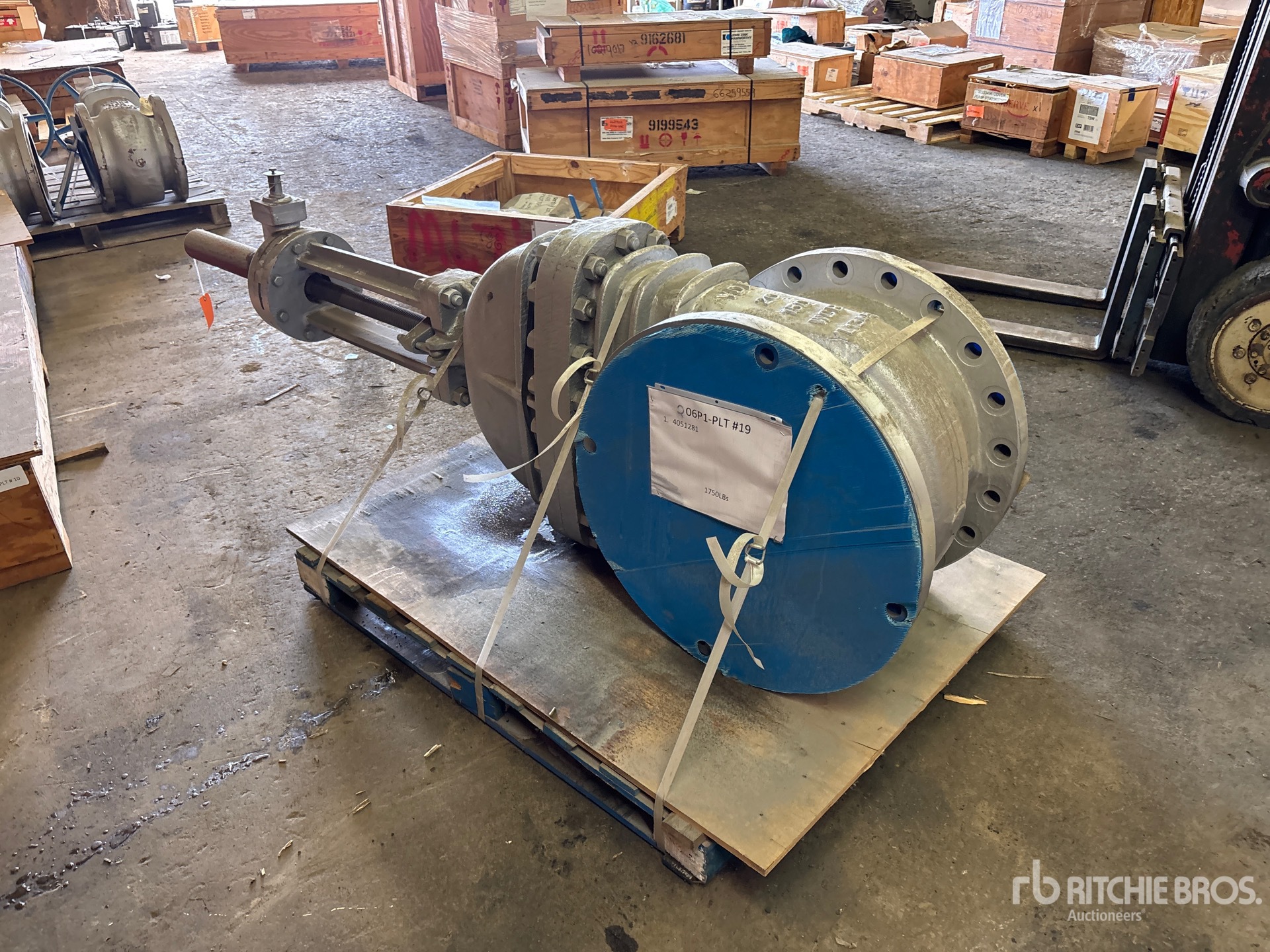 General Appearance with Zdjęcie, lewy dolny róg