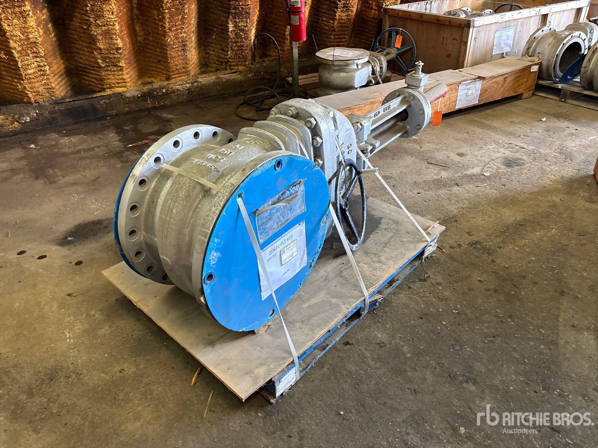 General Appearance with Zdjęcie, prawy dolny róg