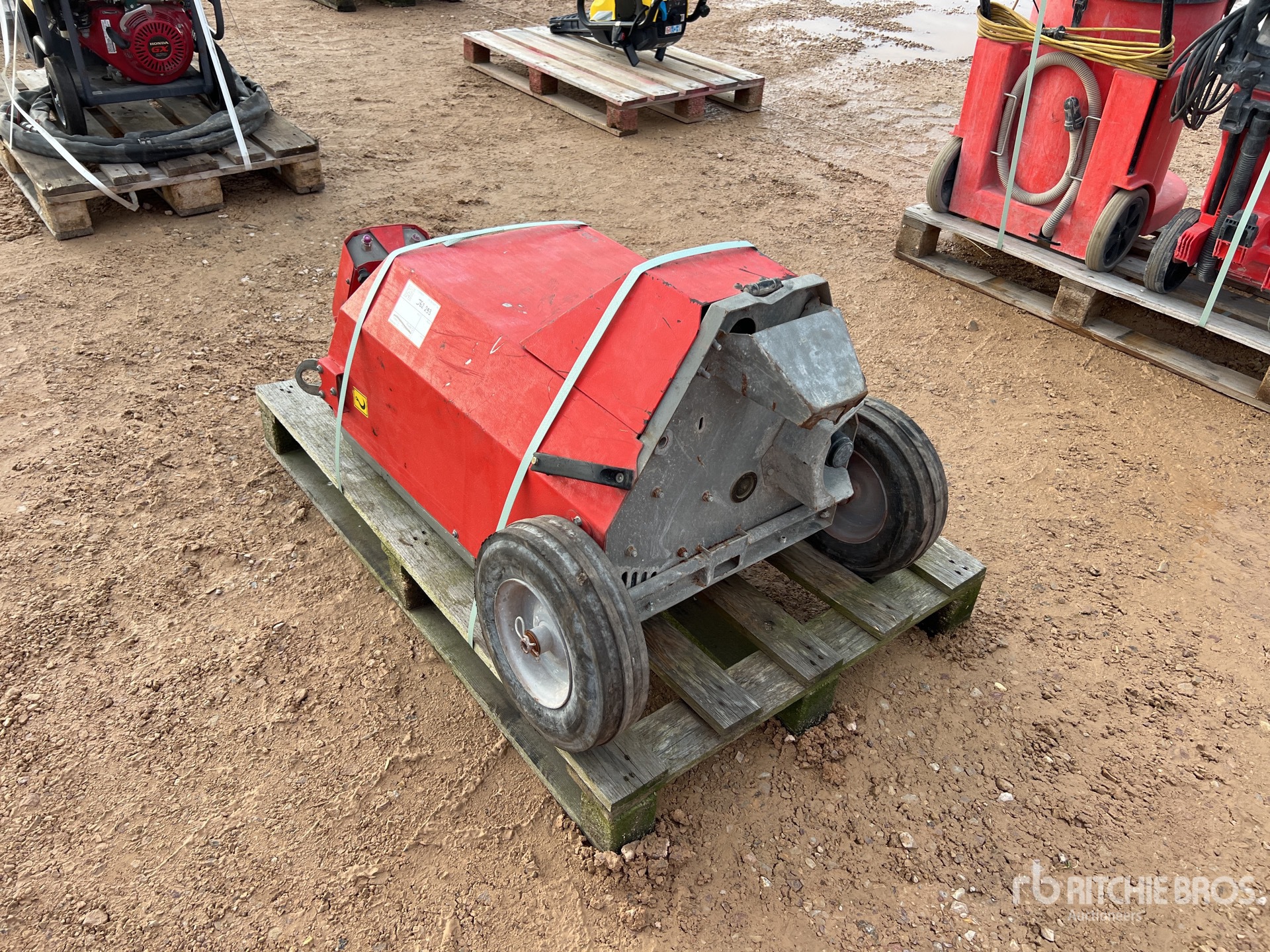 General Appearance with